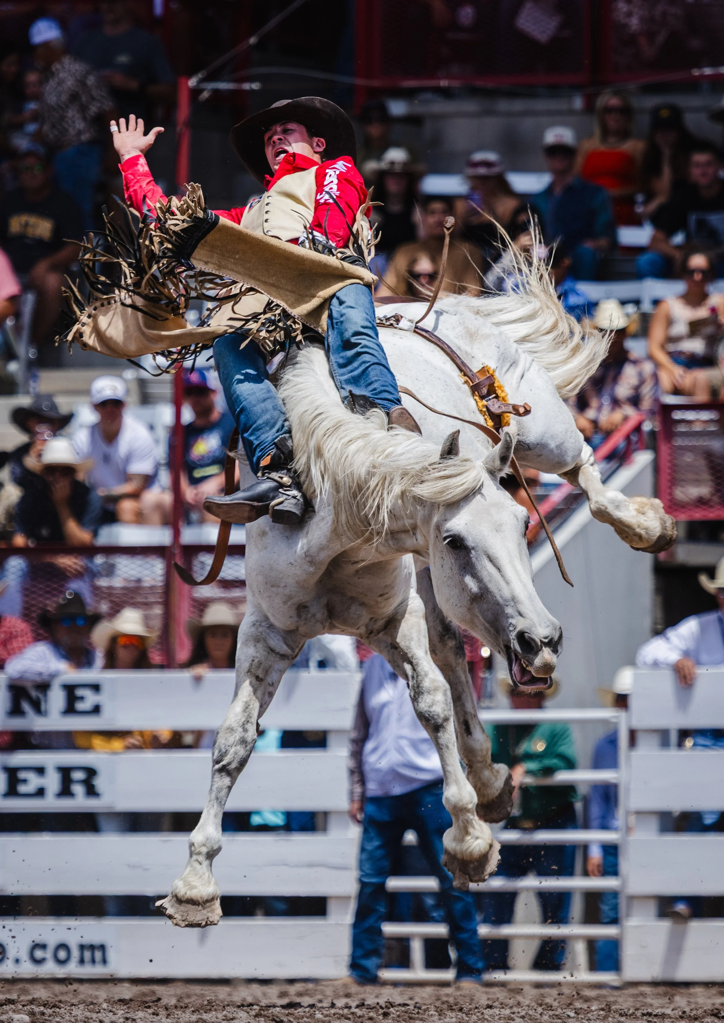 2026-07_CFD_Bareback Riding_Toby Duedney_NS-1.jpg