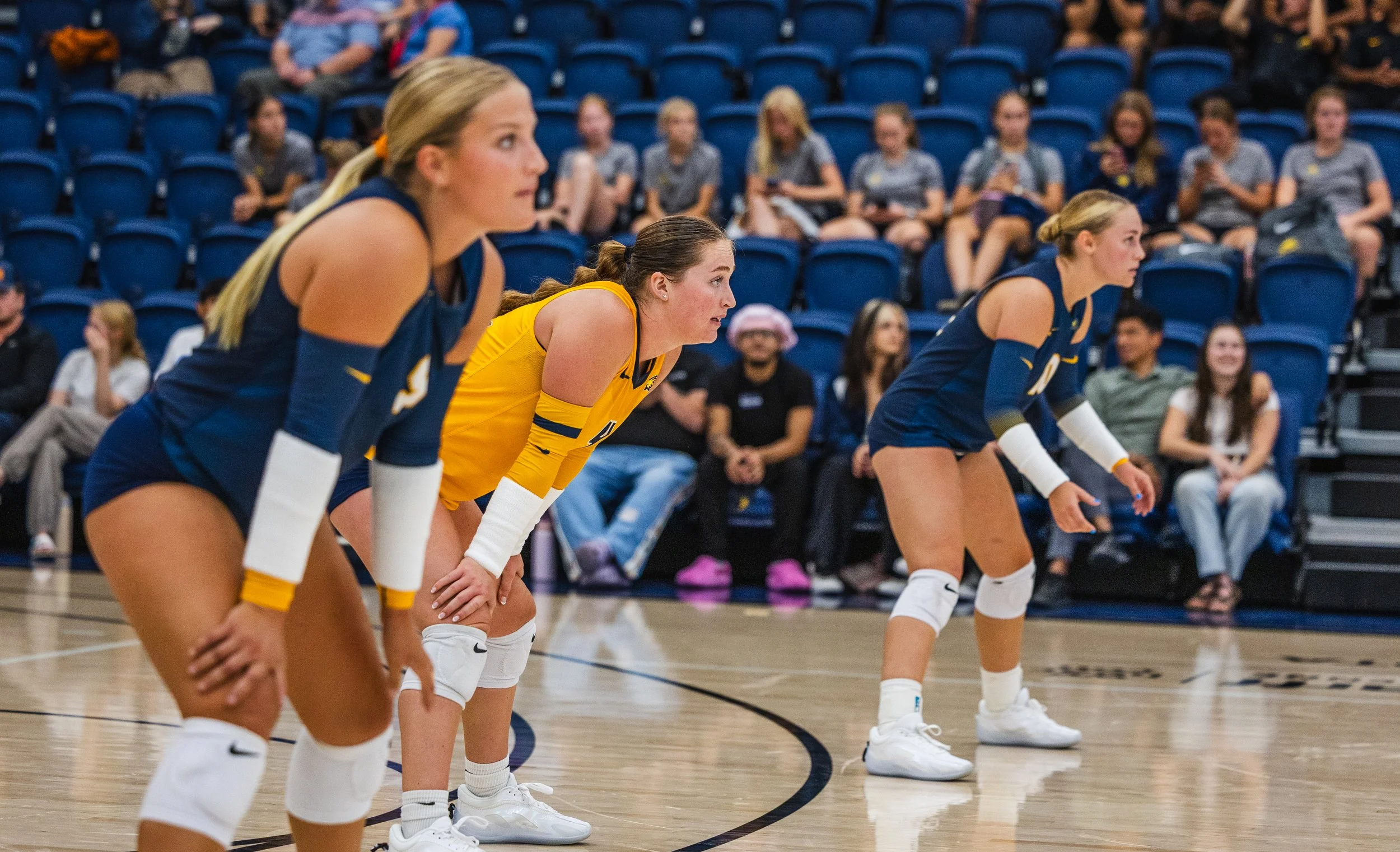 2026-08_Volleyball Blue vs. Gold Scrimmage_NS-18.jpg