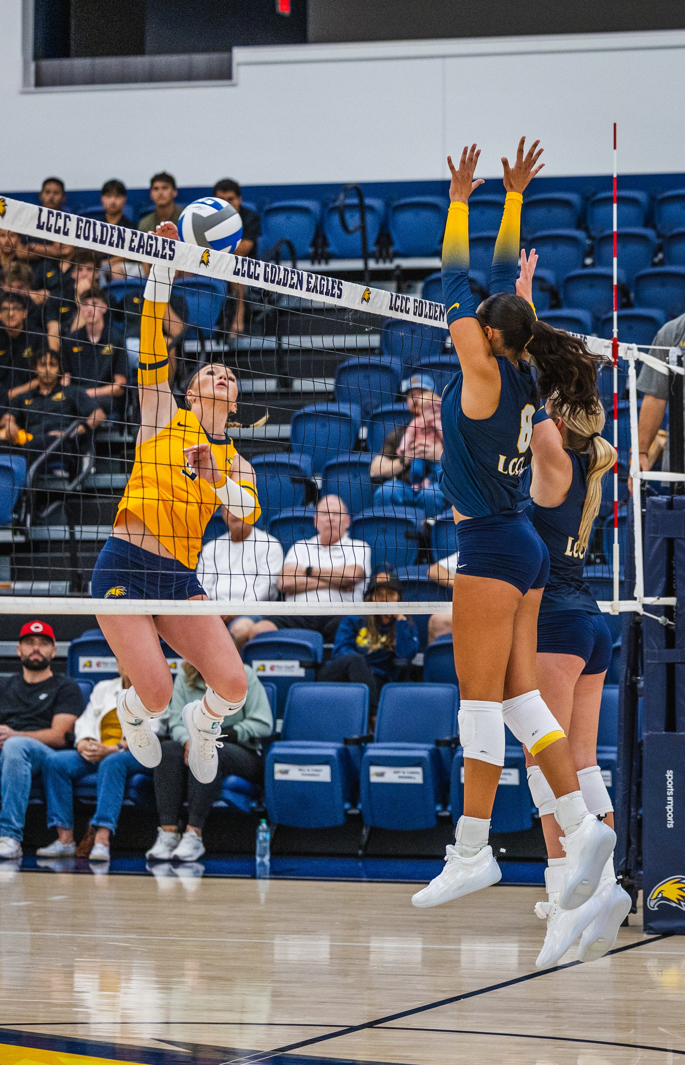 2026-08_Volleyball Blue vs. Gold Scrimmage_NS-37.jpg