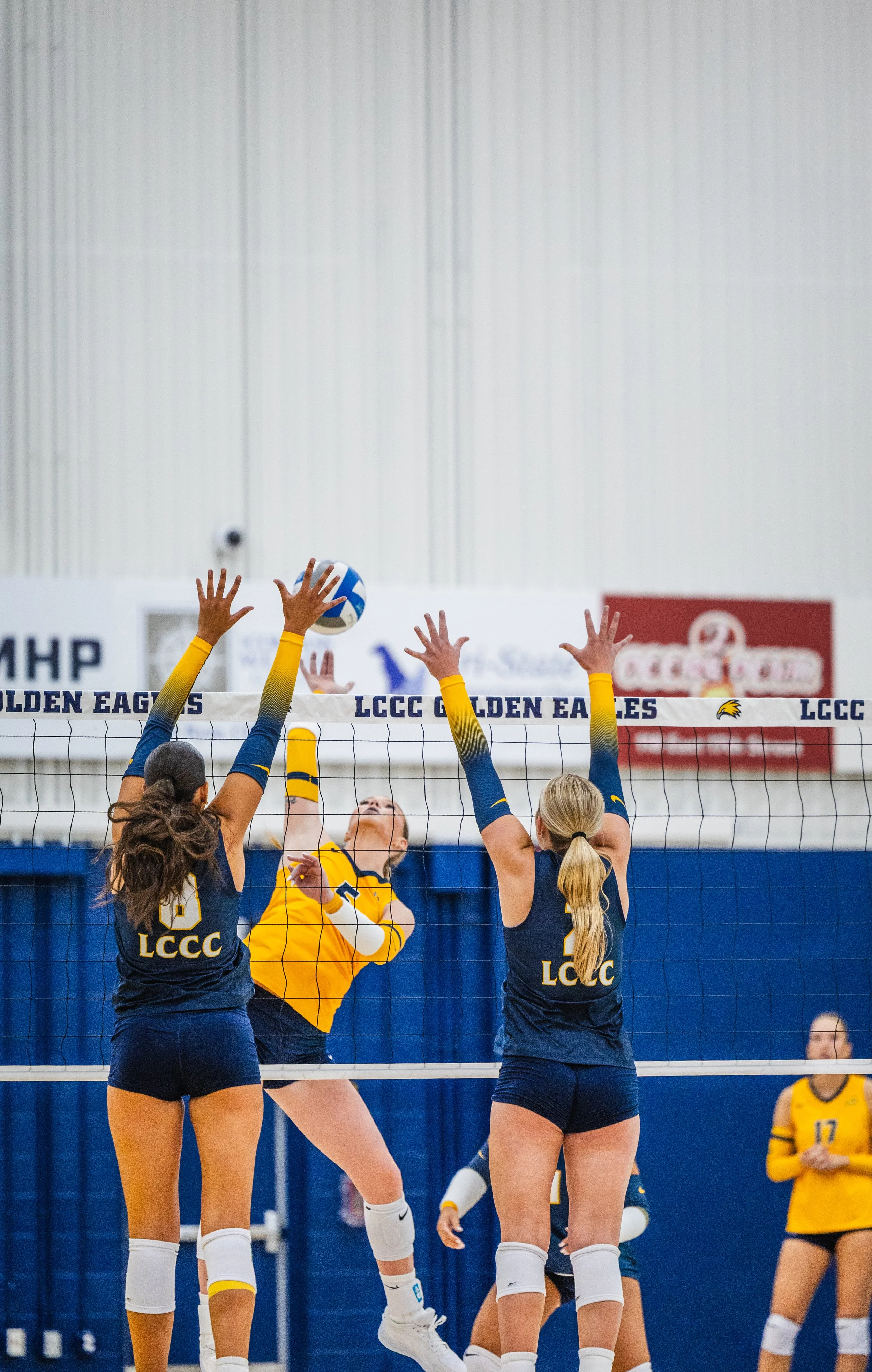 2026-08_Volleyball Blue vs. Gold Scrimmage_NS-06.jpg