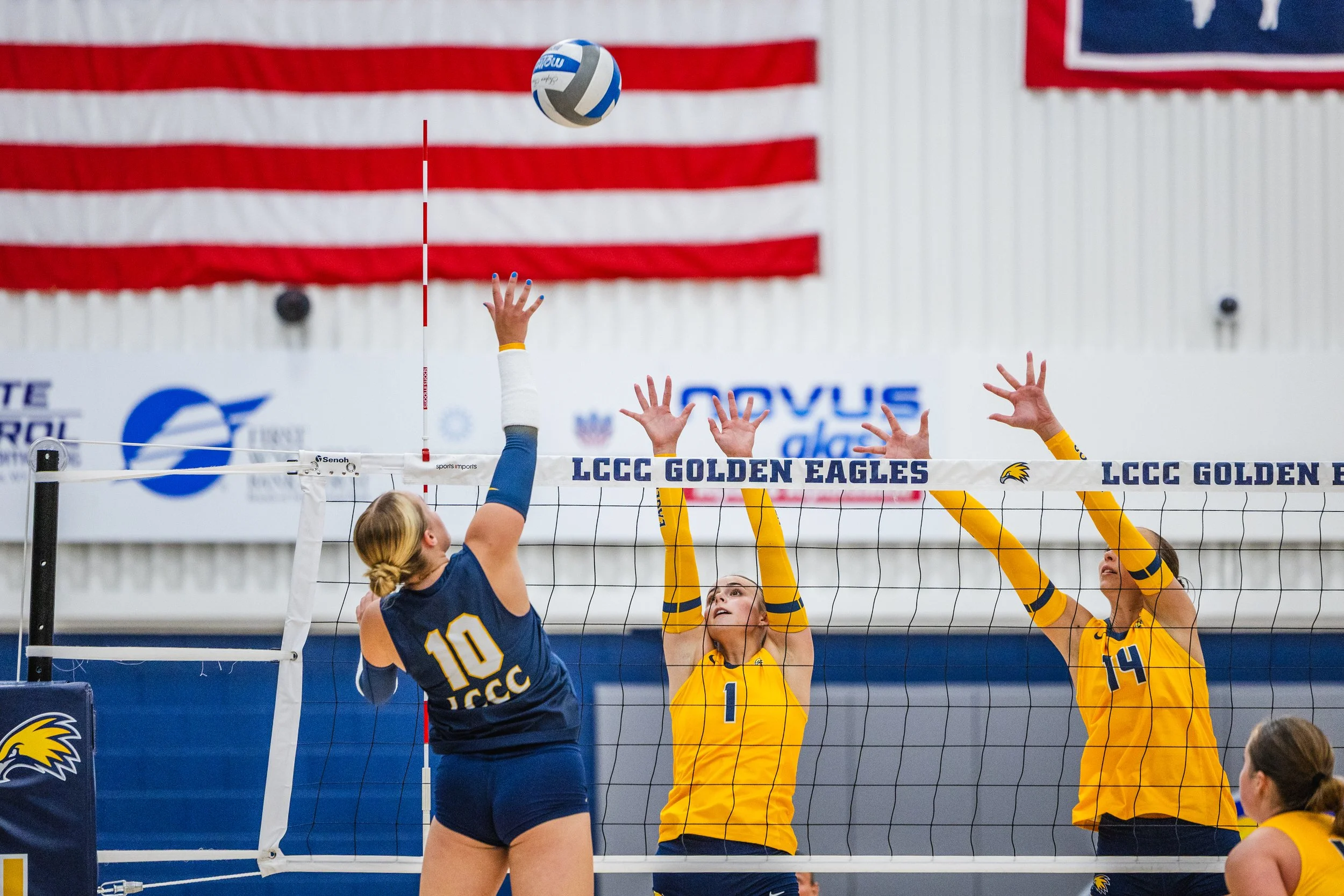 2026-08_Volleyball Blue vs. Gold Scrimmage_NS-09.jpg