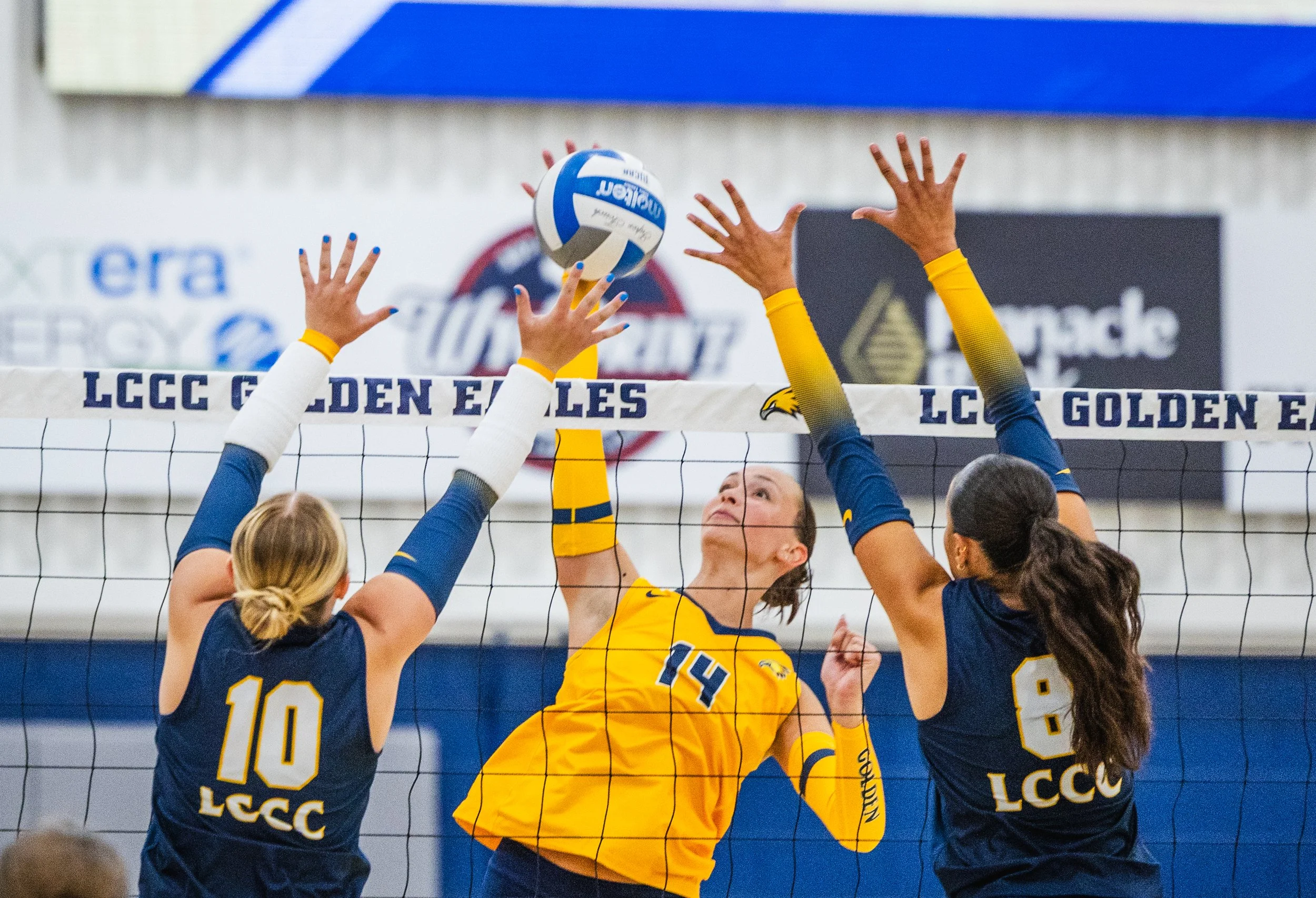 2026-08_Volleyball Blue vs. Gold Scrimmage_NS-08.jpg