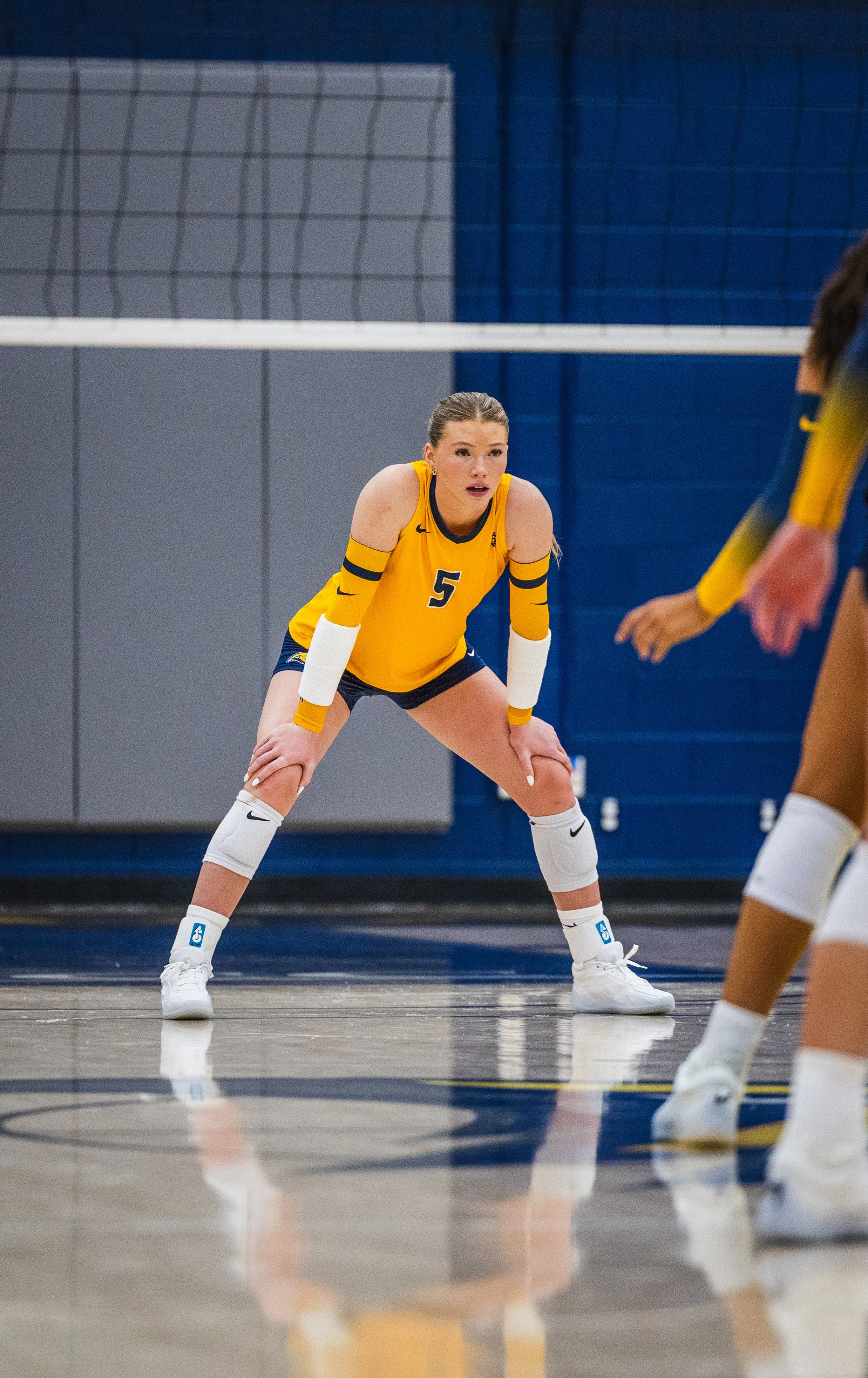 2026-08_Volleyball Blue vs. Gold Scrimmage_NS-15.jpg