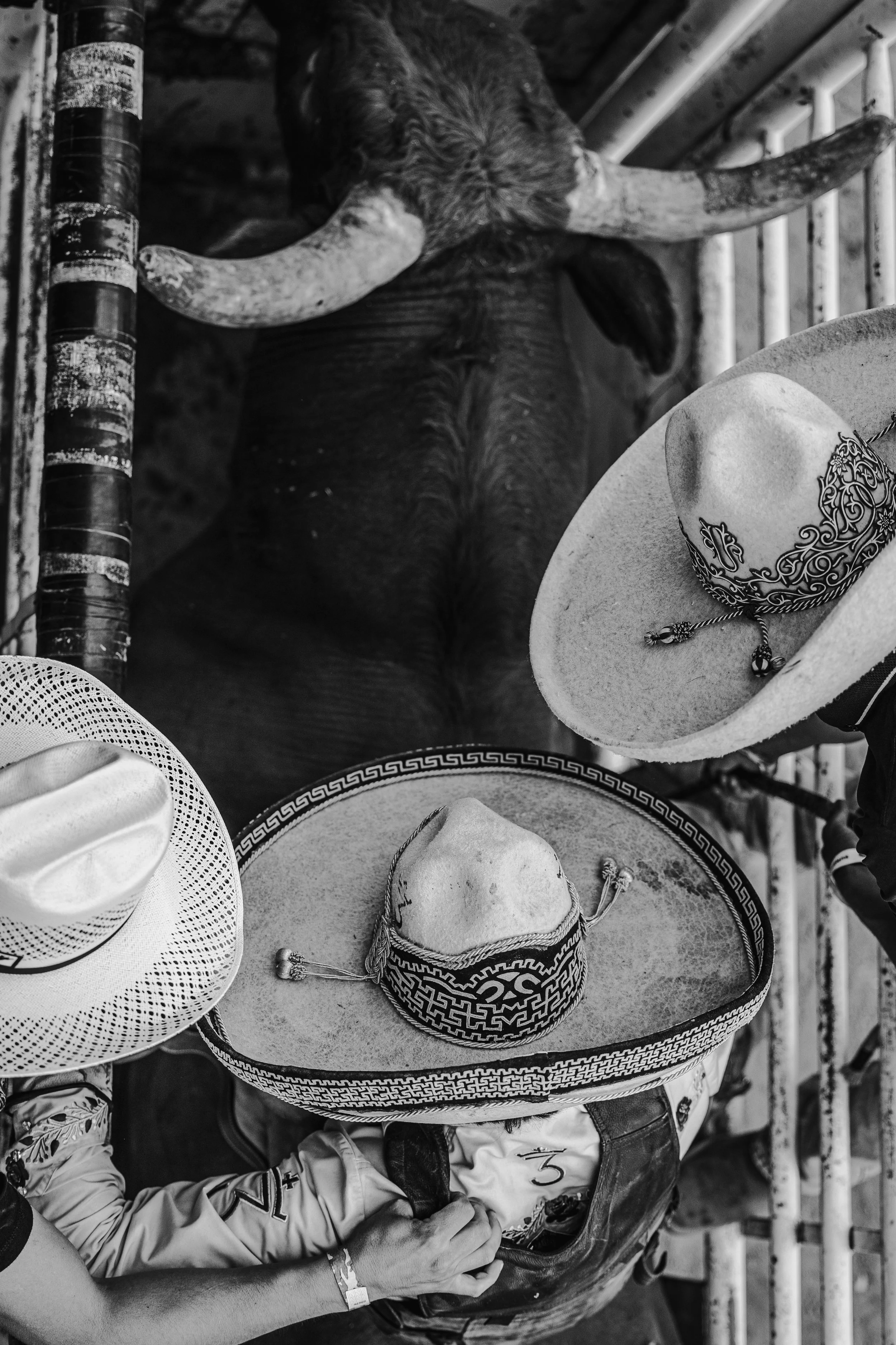 20260809_BCF_Mexican Rodei_NS-041.jpg