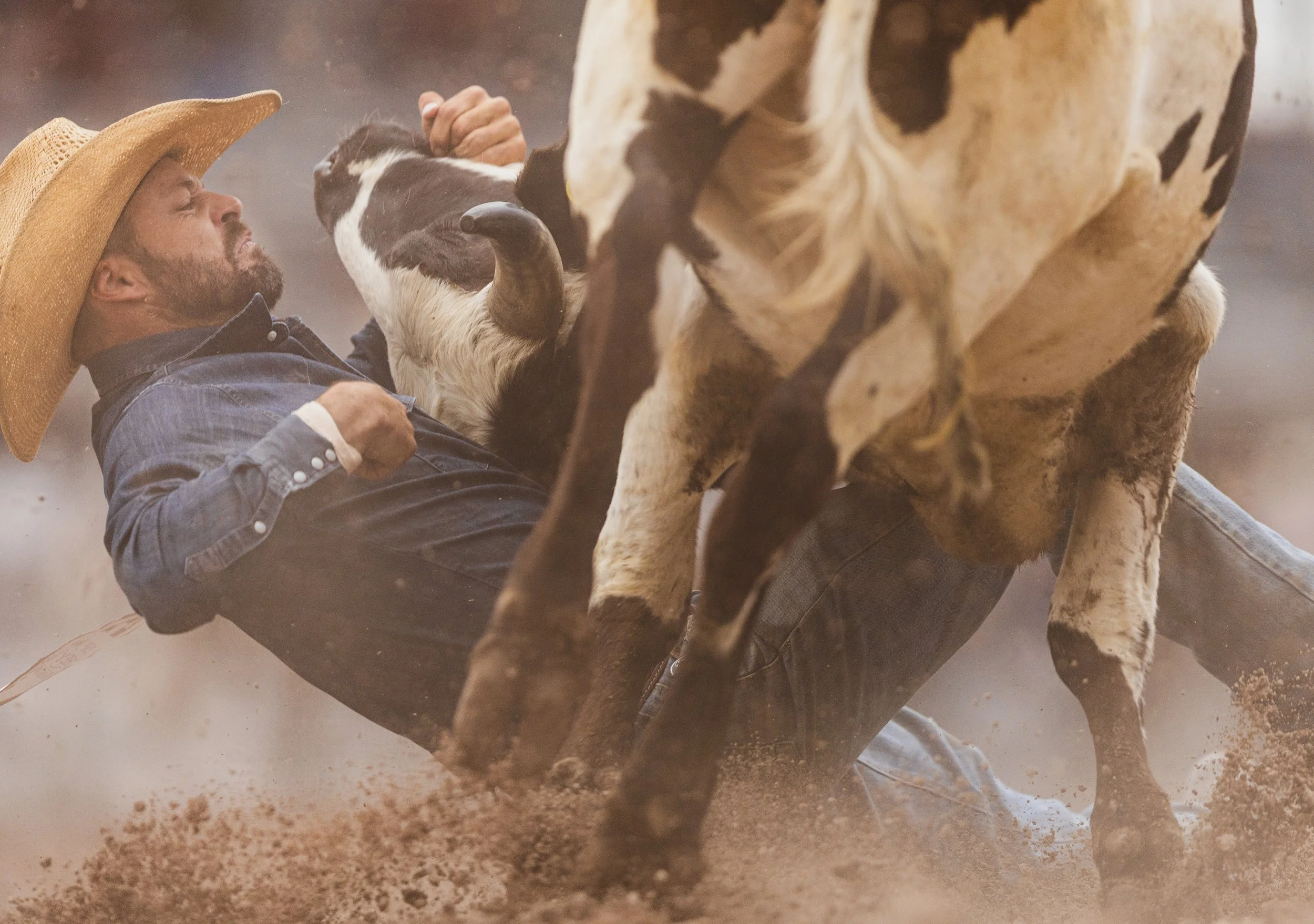 2026-07_CFD_ Steer Wrestling_NS-6.jpg