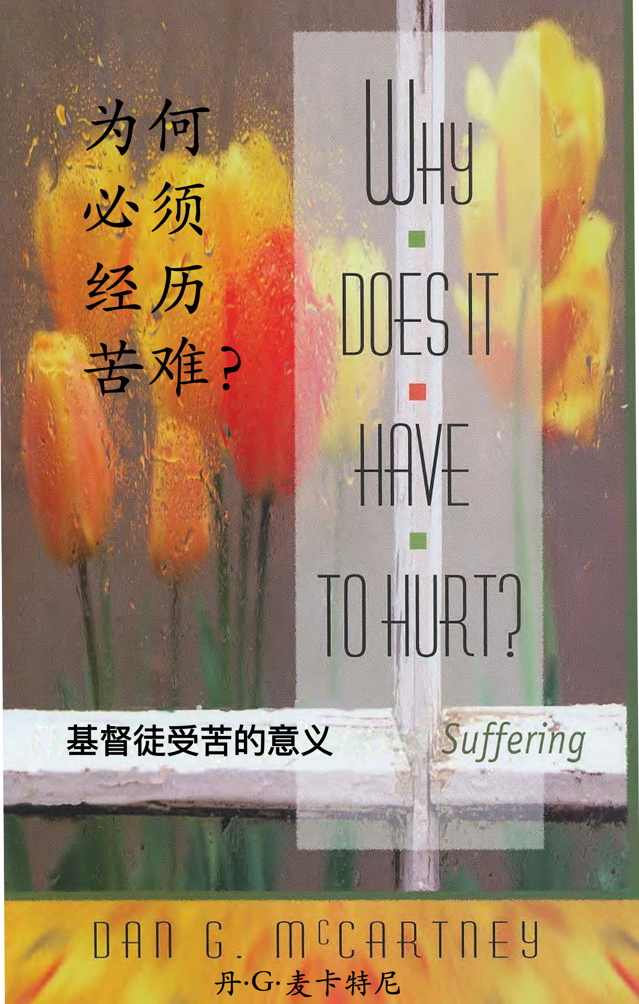why-does-it-have-to-hurt-cover.png
