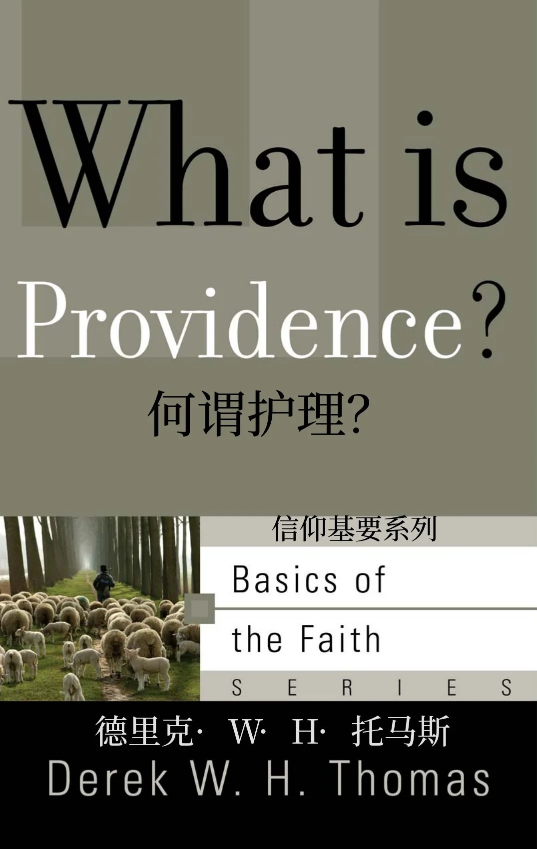 WHAT_IS_PROVIDENCE_AT_Chinese_091326_FINAL.jpg