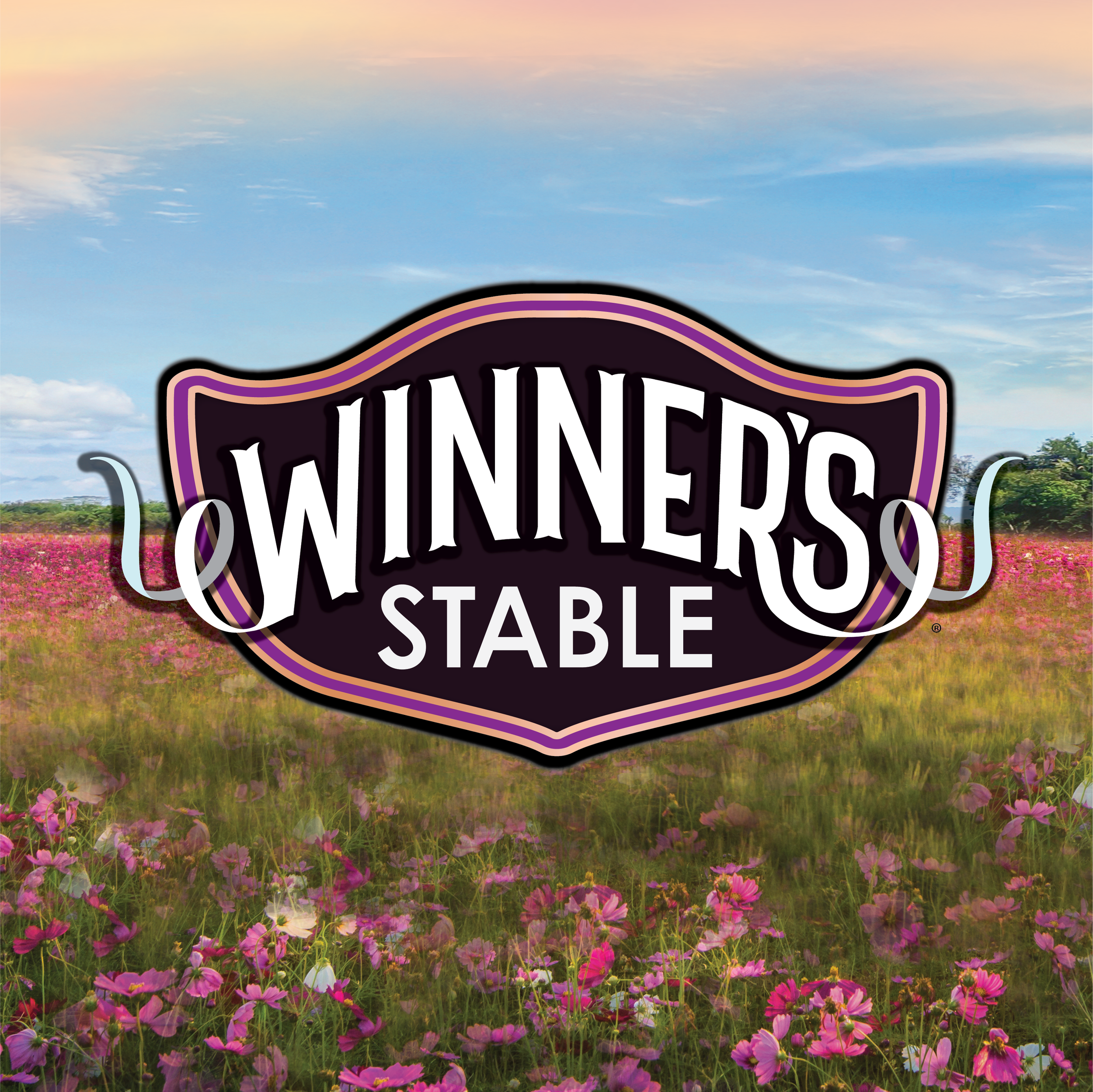 Winner's Stable Branding