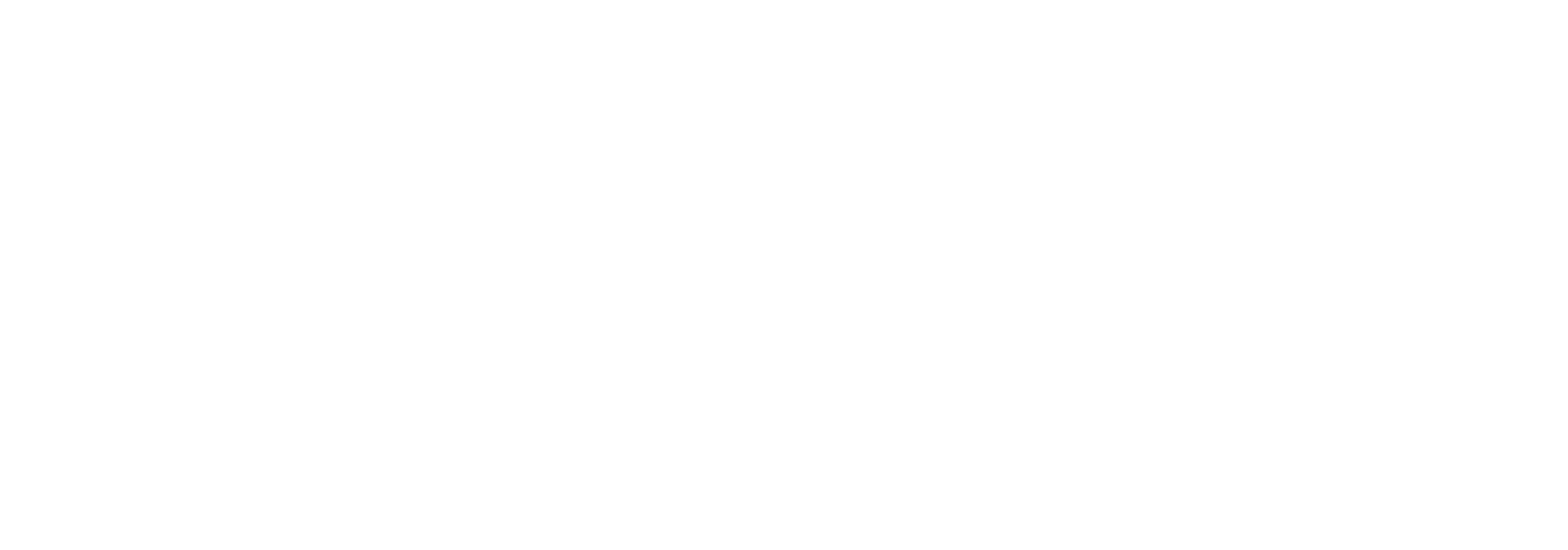 NARIMAN HAMED