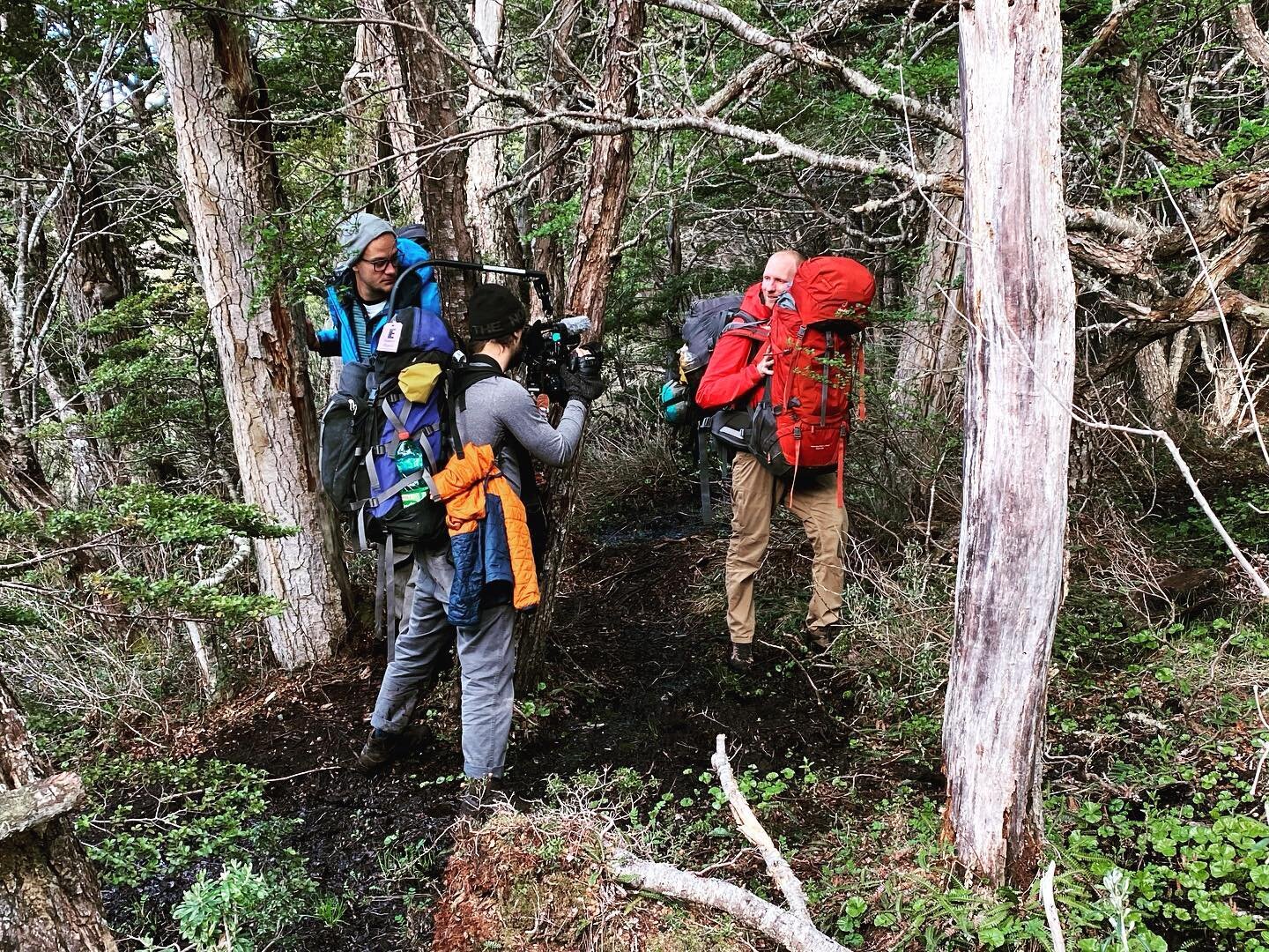 Celebrating national hiking day. We hope everyone can get outside and enjoy the serenity of a hike in the woods. Maybe you can bring a smaller camera. 😉
⛰🥾🐻🌲🐾🦅🎥

.
.
.
.
.

#nationalhikingday #hiking #roaming #wanderlust #documentaryproduction