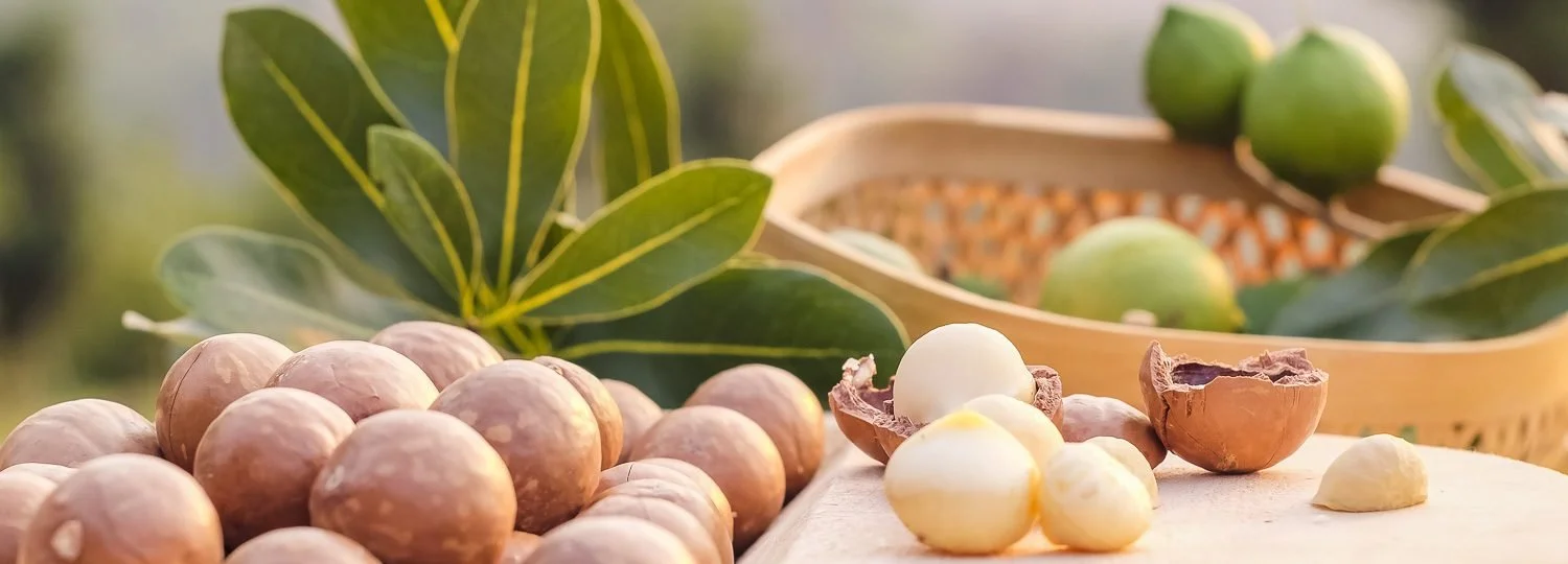 A basket of green limes, and various nuts including hazelnuts and macadamia nuts, with a large leaf in the background.