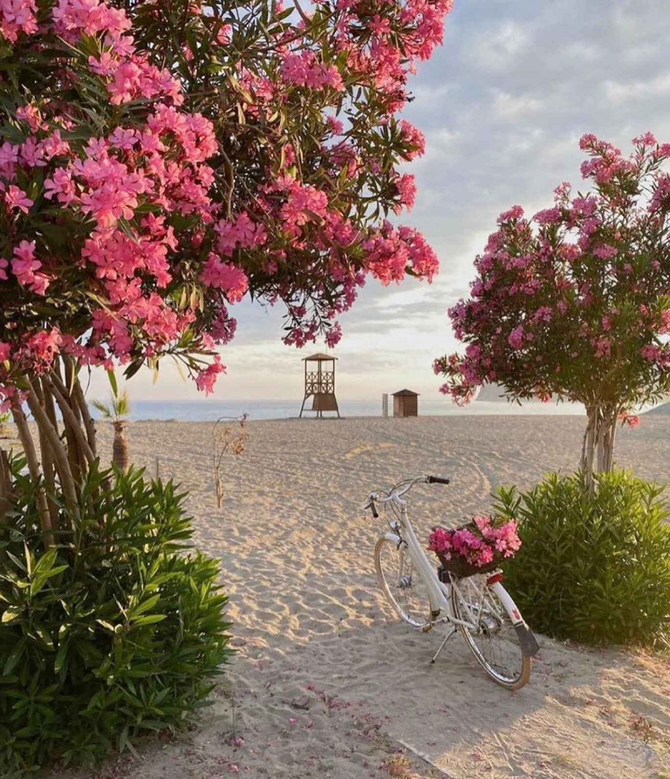 Spring is here, and it&rsquo;s time to break out the dresses! Light, airy fabrics and fun prints are perfect for this season, so ditch the heavy layers and embrace the sunshine with a stylish new dress! 🌸 @misskatrinahuffman