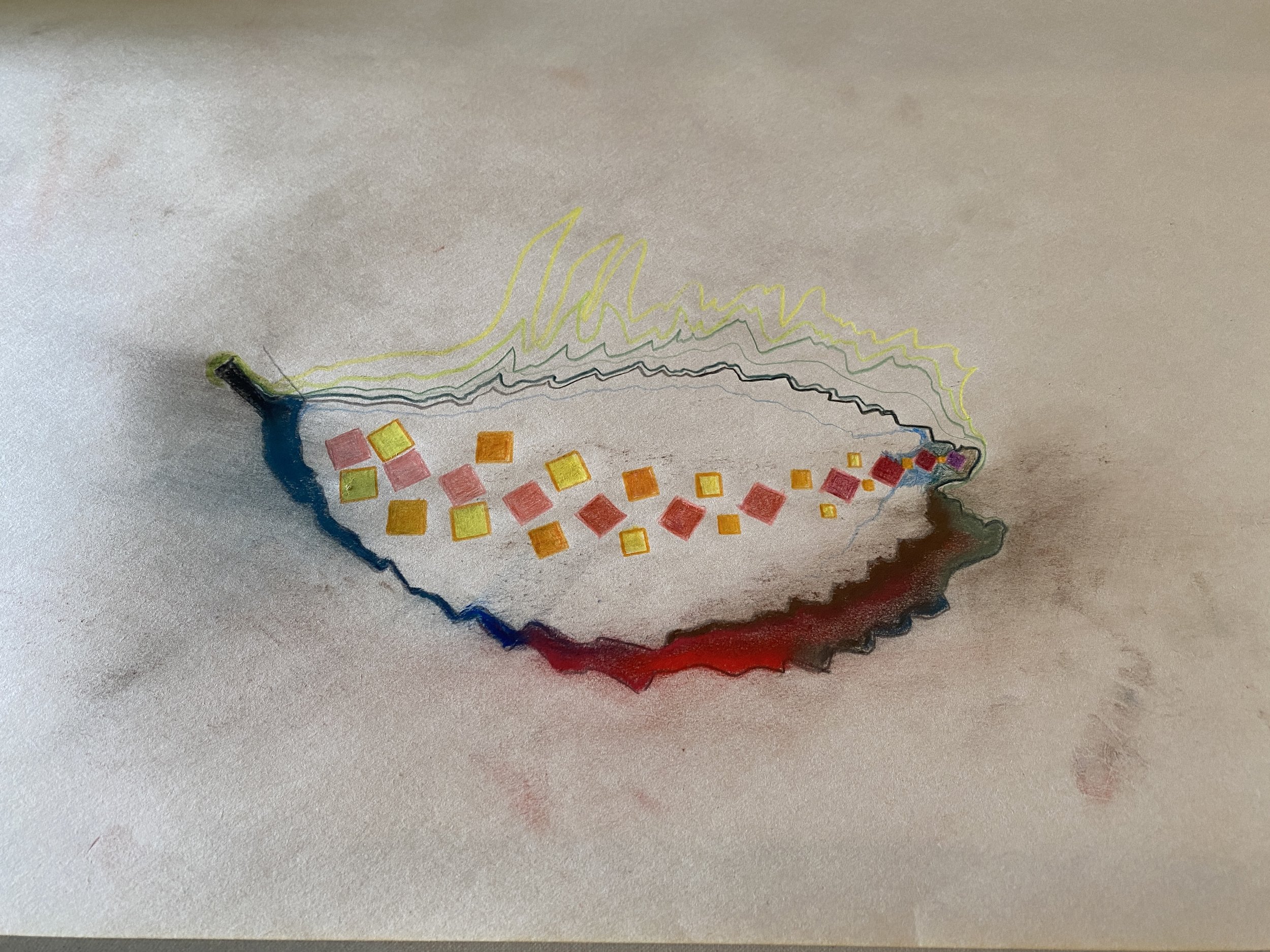 Walk on the Wild Side