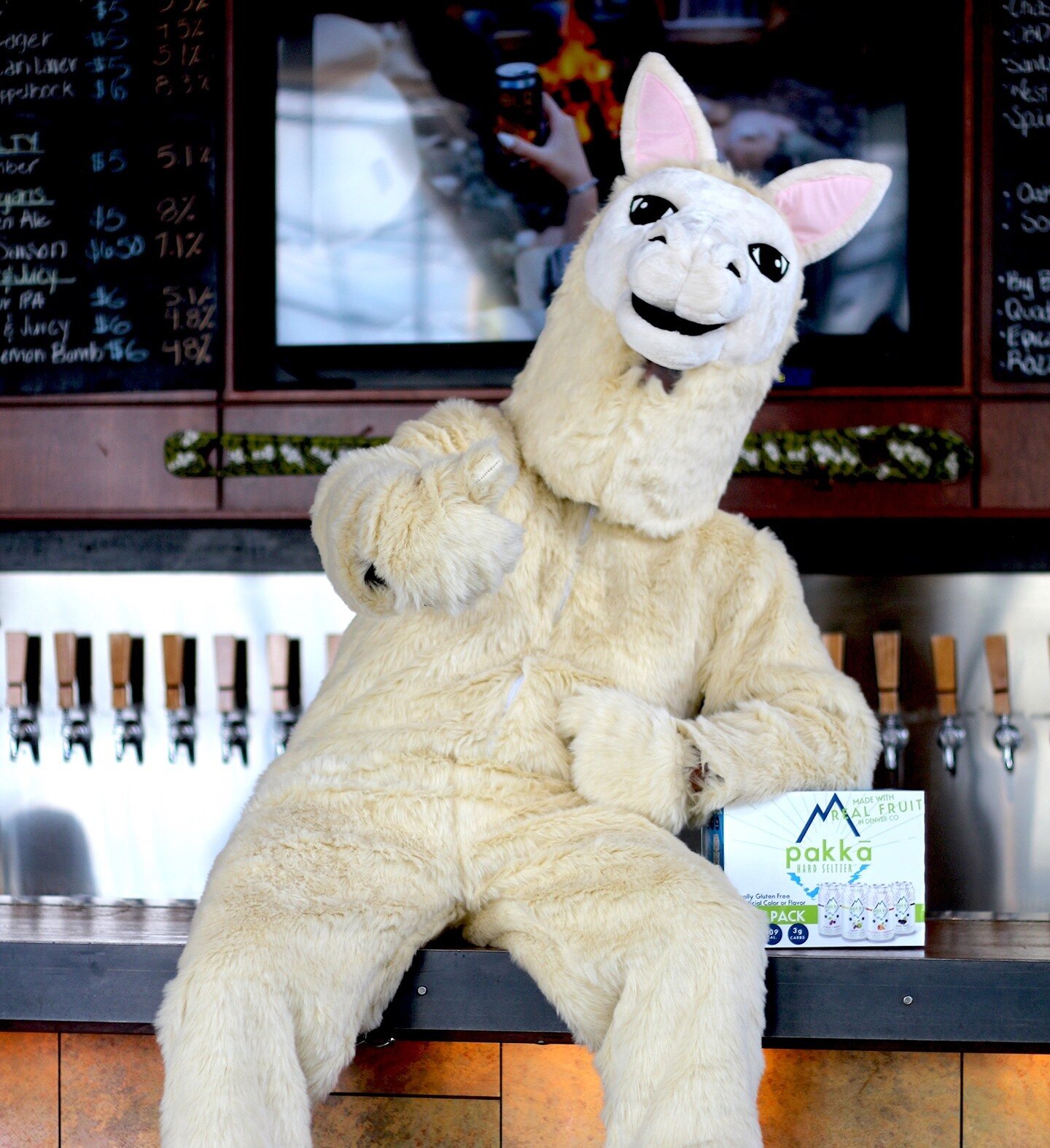 Al the alpaca wants you to choose Pakkā hard beverages.

Be like Al and pick up a pack of Pakkā next time you're at your local grocery store or during your next visit to Epic Brewing Company. Learn more at pakkahard.com #BePakka