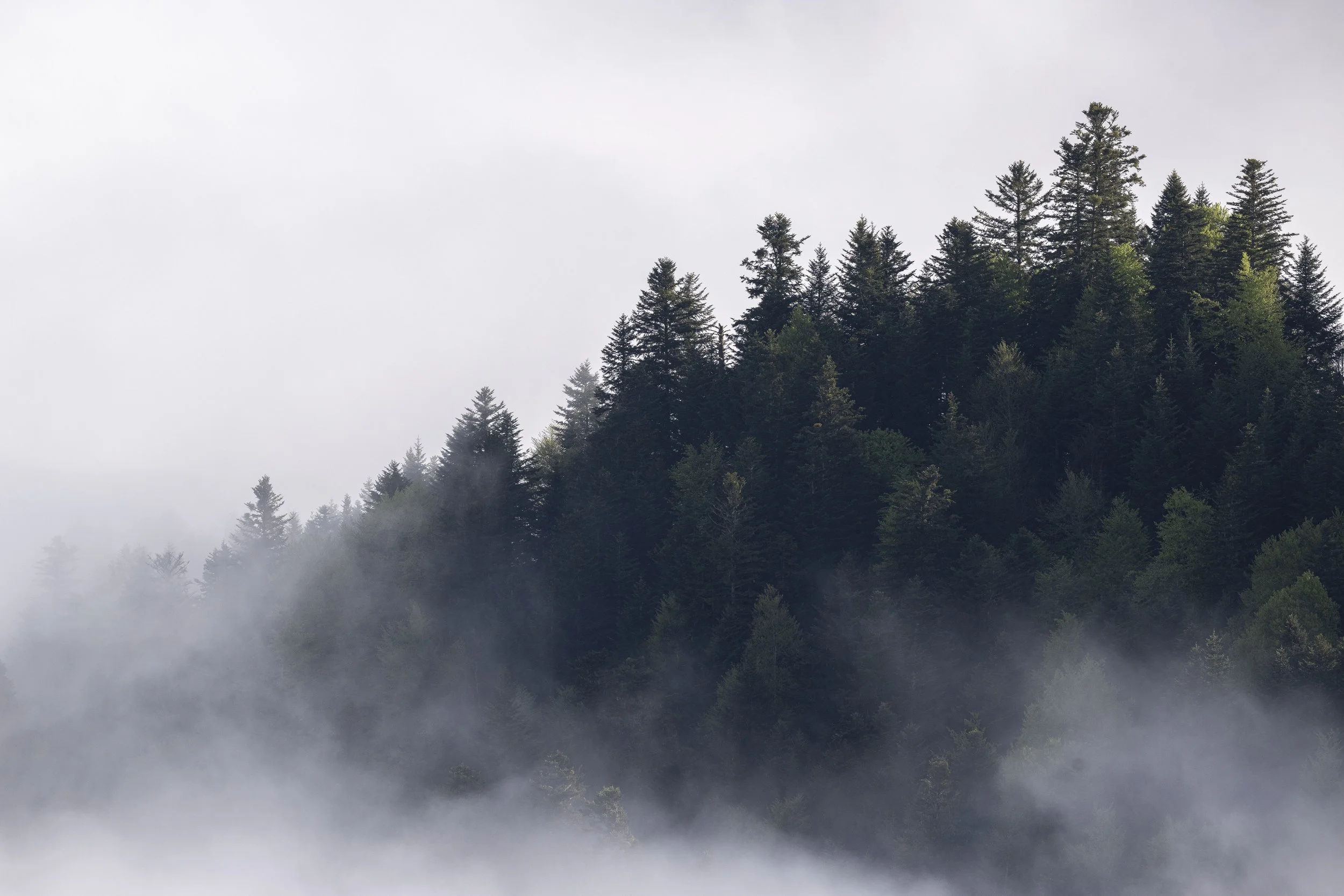 _DSC4383.jpg
