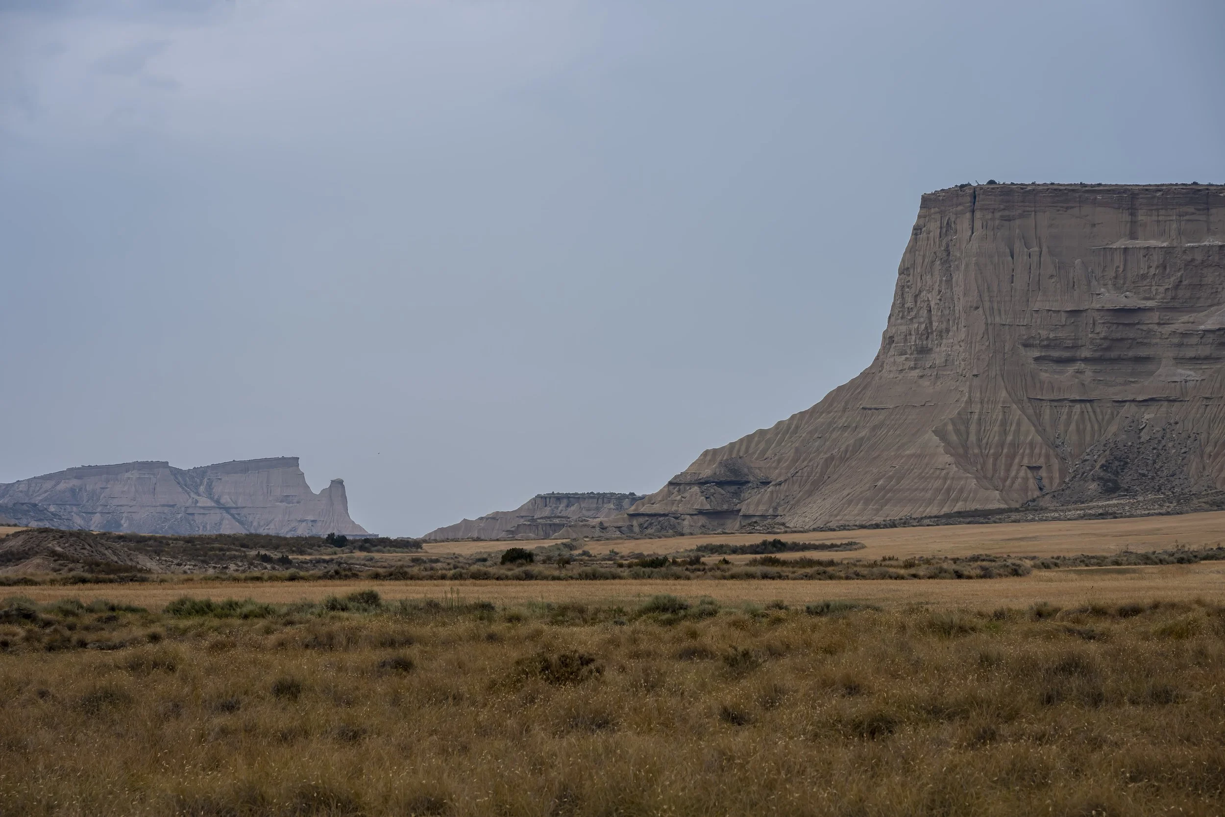 _DSC1598.jpg