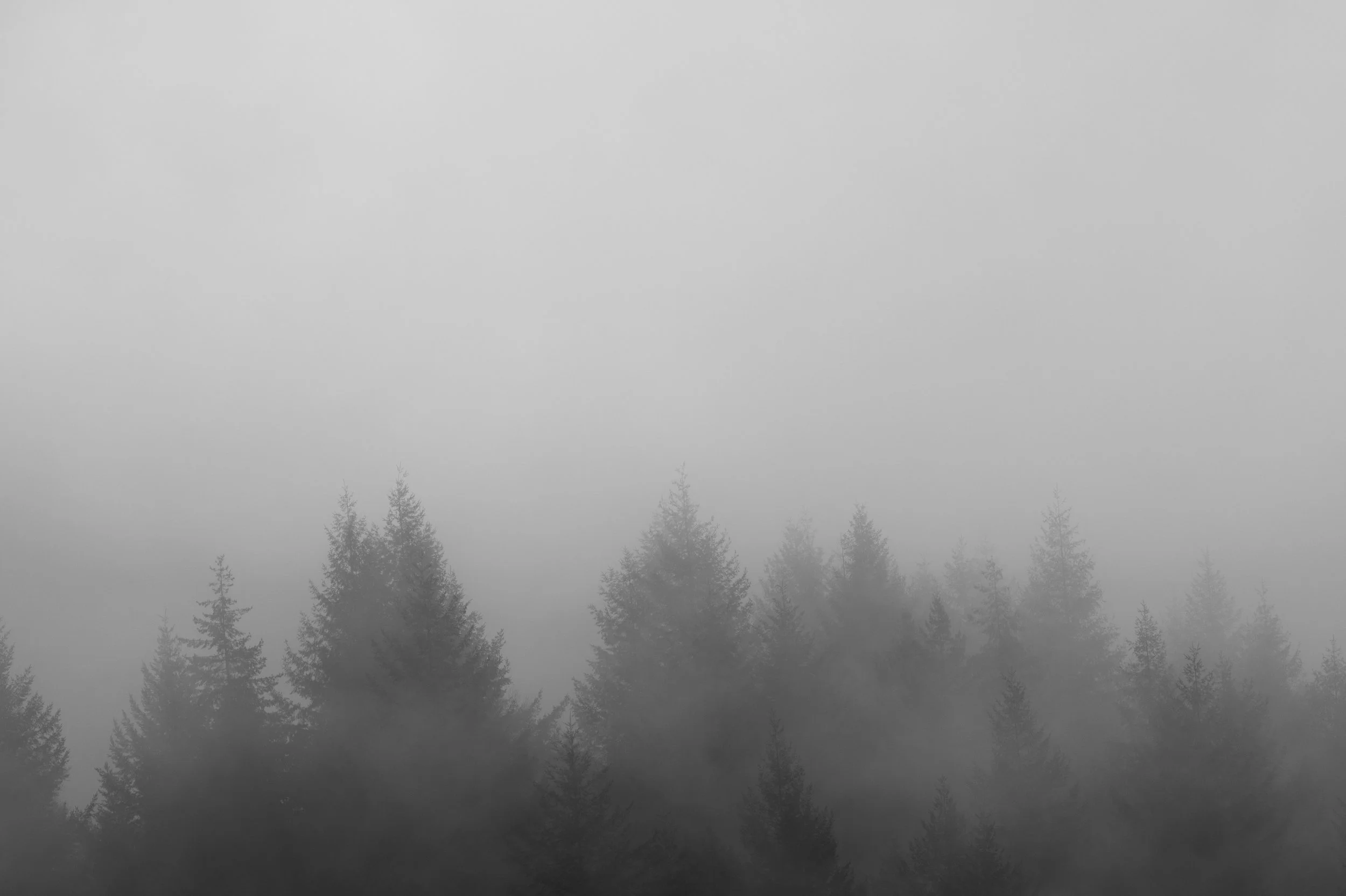 _DSC3352.jpg