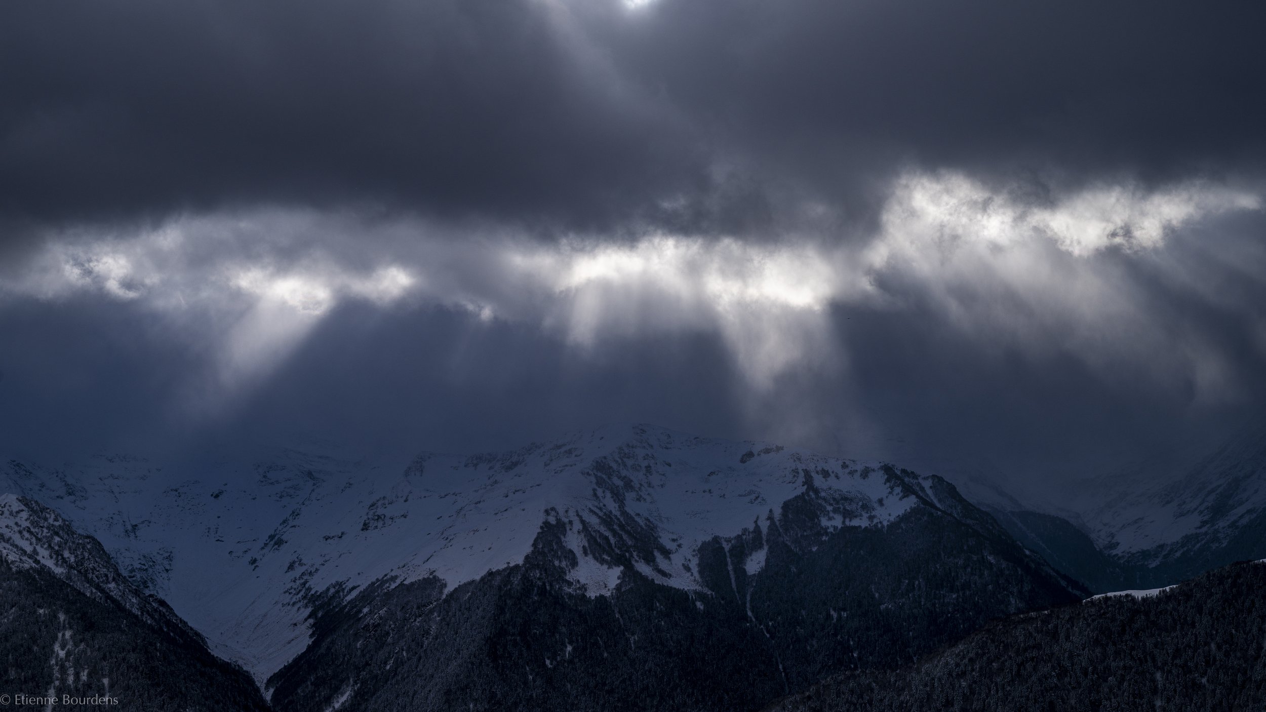 21112025-_DSC1364.jpg