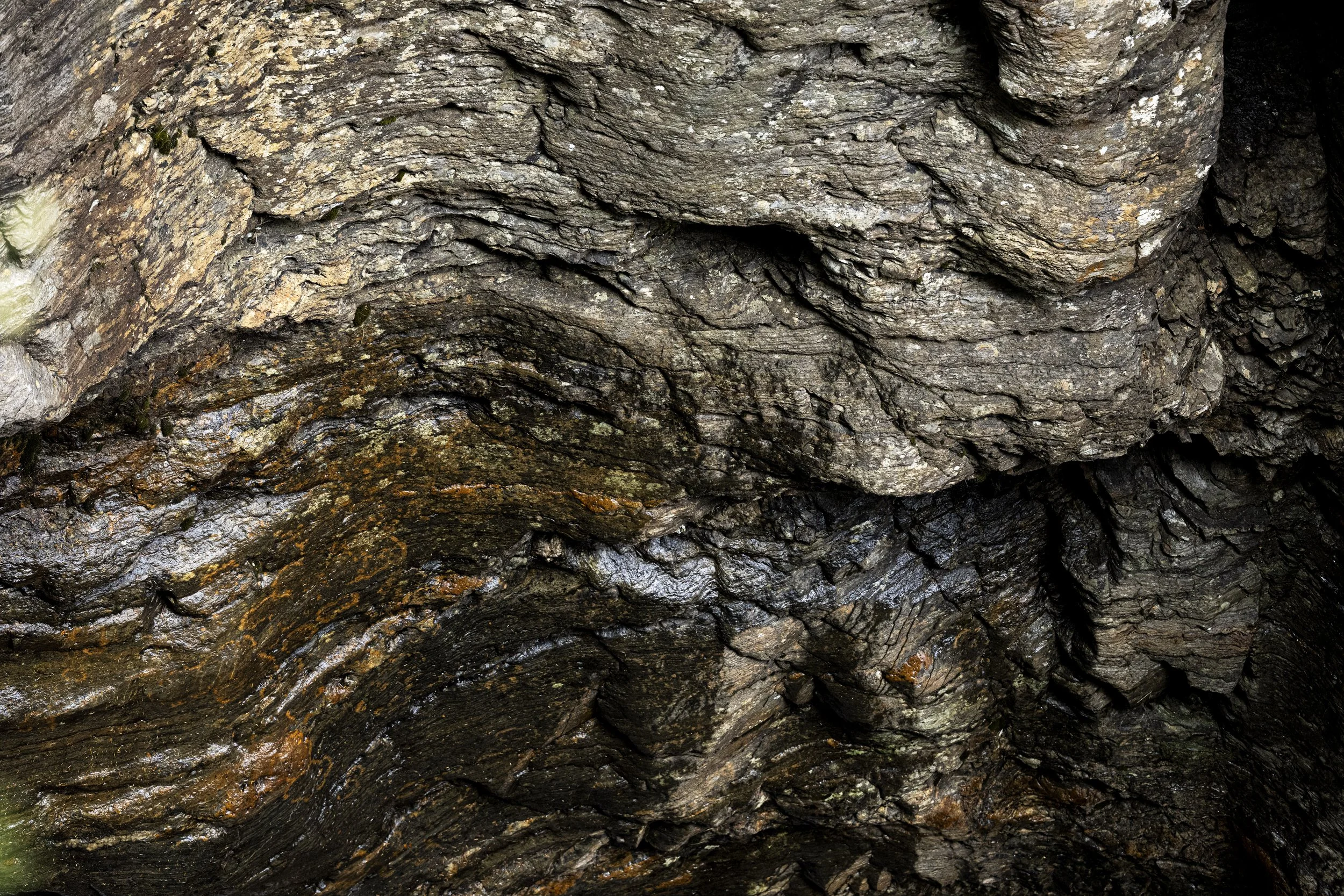 _DSC9029.jpg