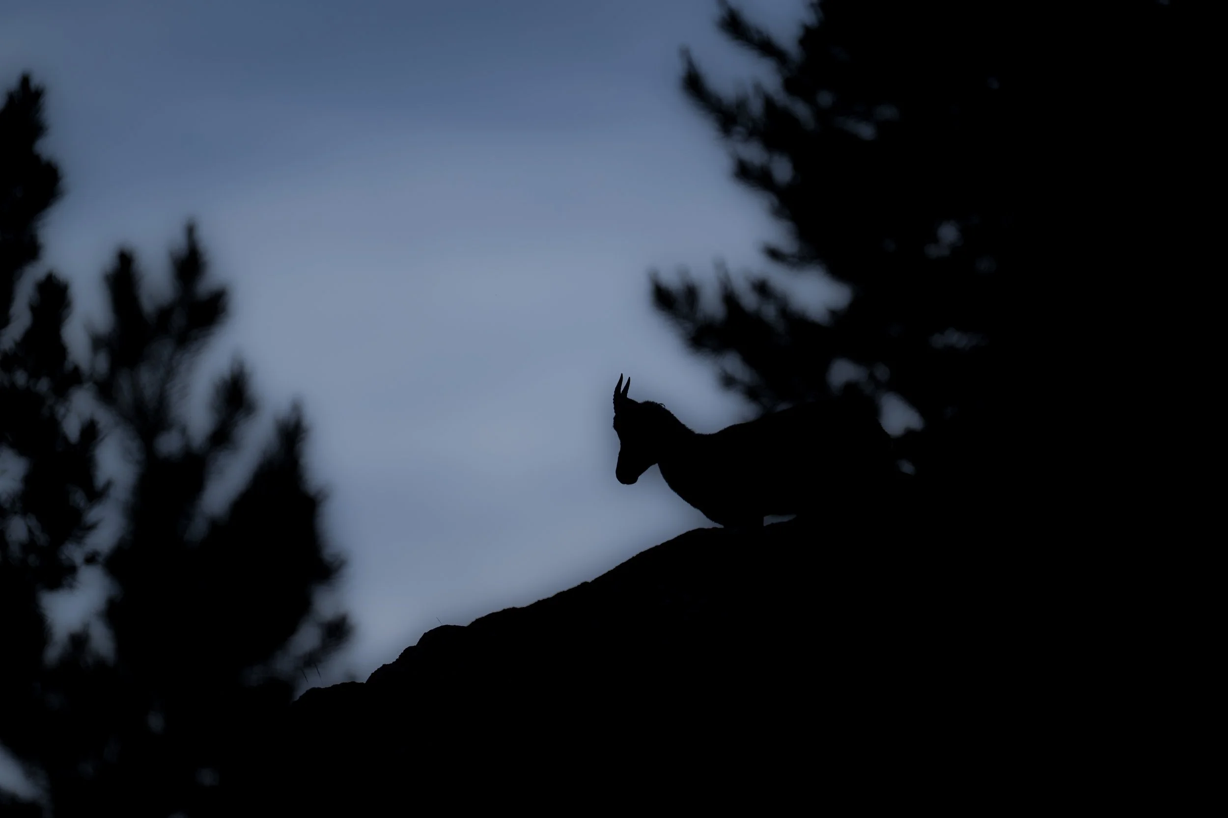 _DSC8108.jpg