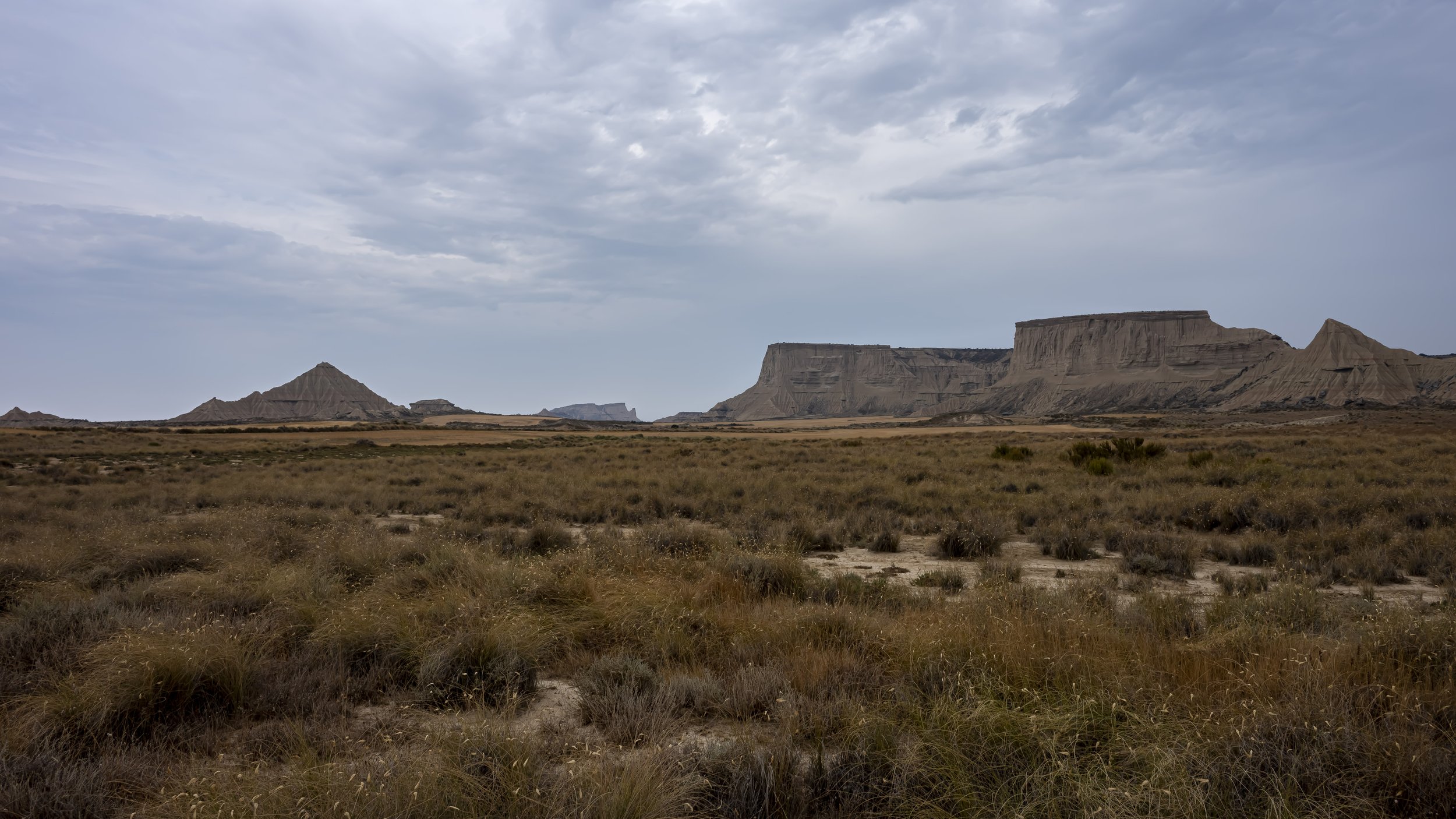 _DSC1601.jpg