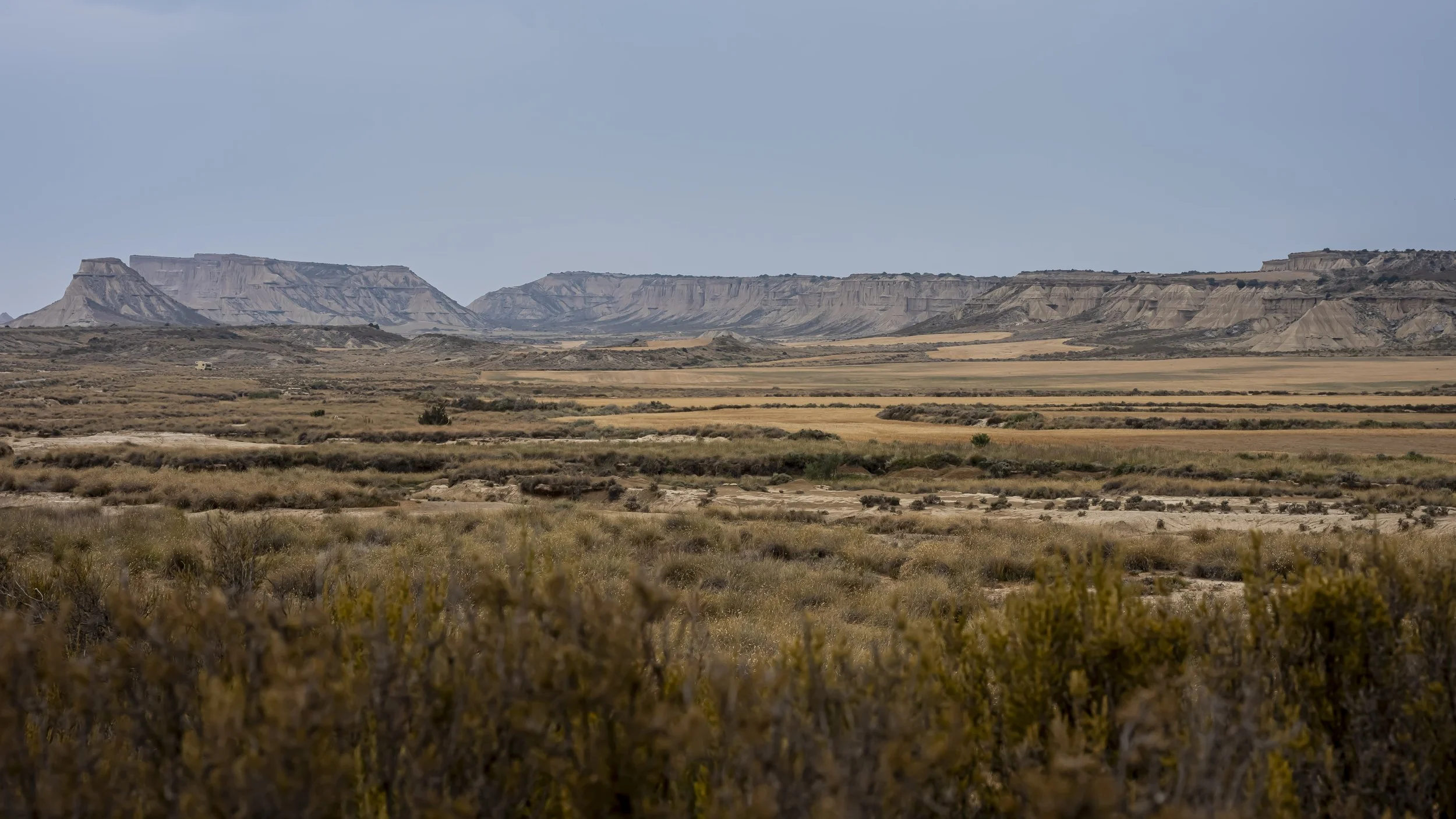 _DSC1583.jpg