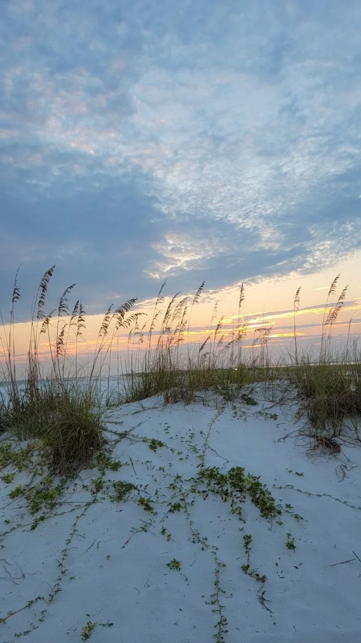 Discover the Nightlife of Perdido Key & Gulf Shores

