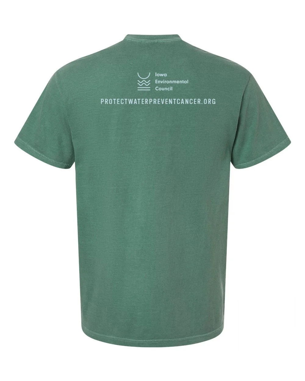 Pantone545_Comfort_Colors_1717_Light_Green_Back_High.jpg