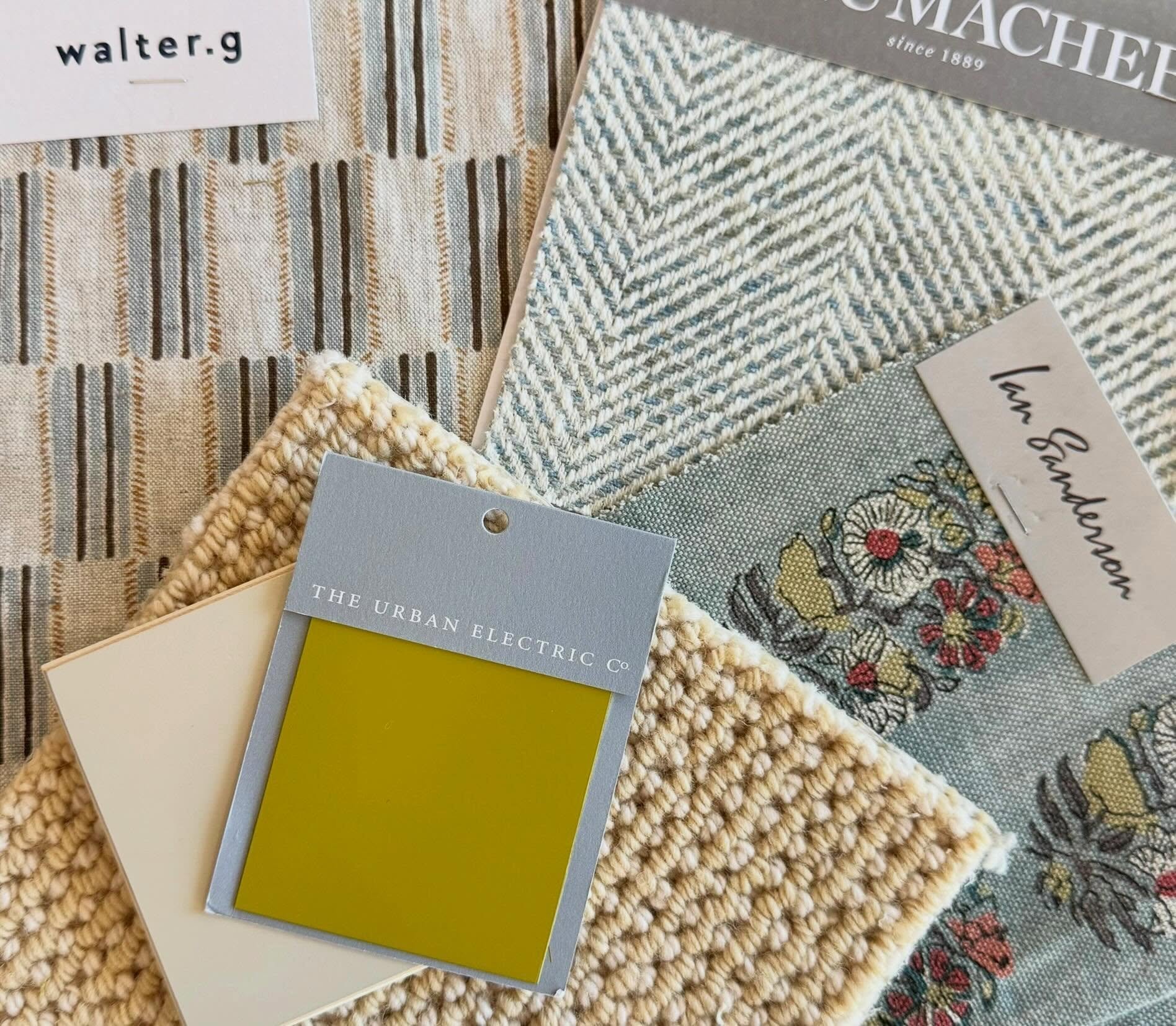 Scheming a color palette with a little pop of color 🌼🌀🌿