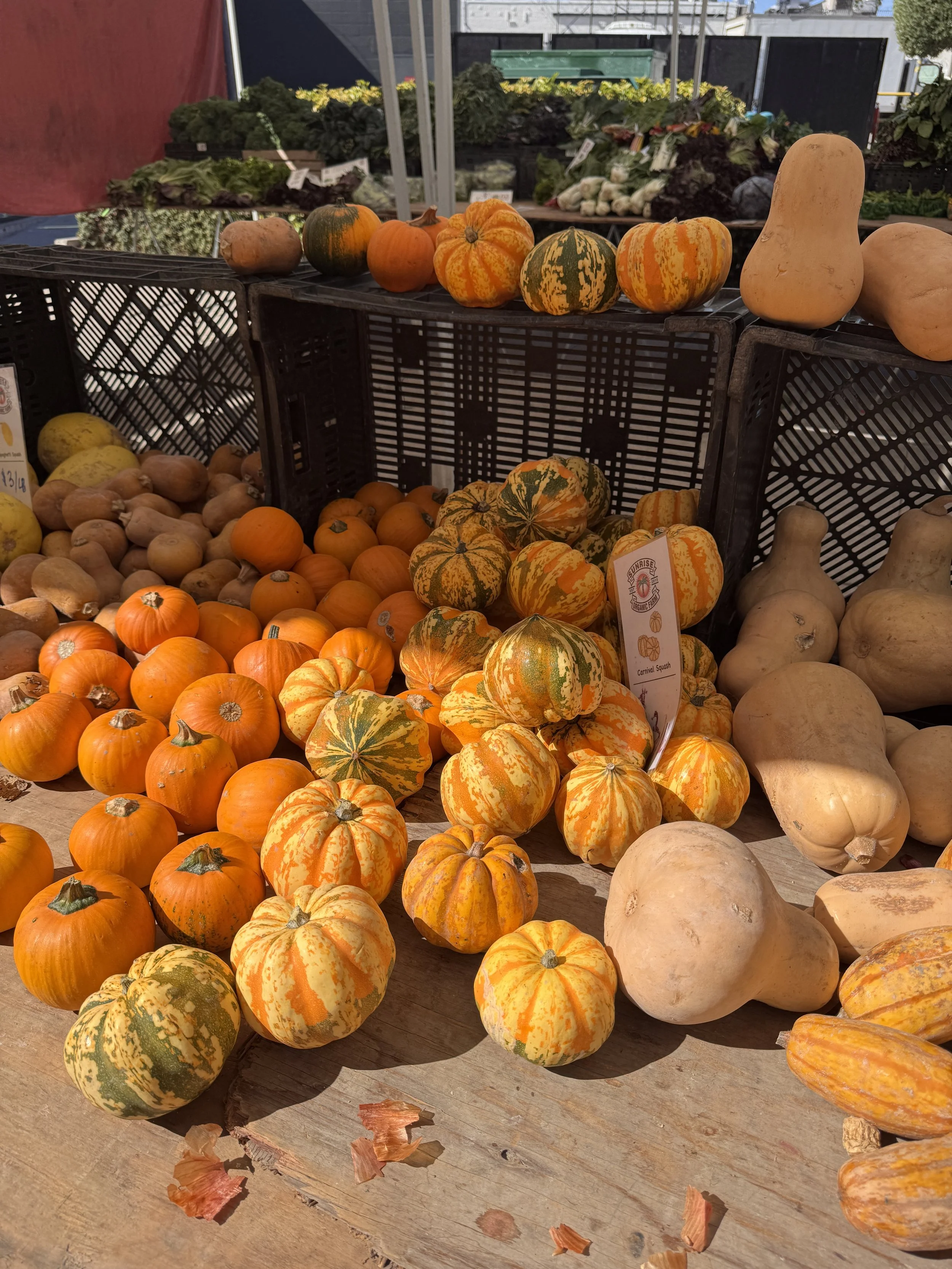 November Seasonal Produce Guide for Southern California
