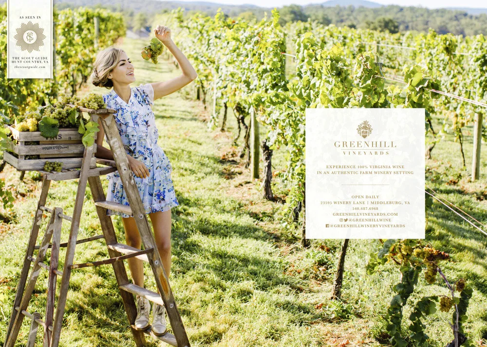 Meet Greenhill Winery Vineyards The Scout Guide Hunt Country