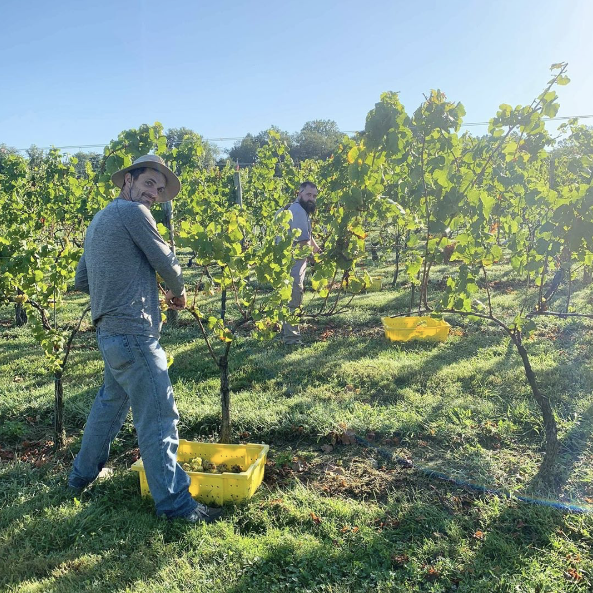 Meet Greenhill Winery Vineyards The Scout Guide Hunt Country