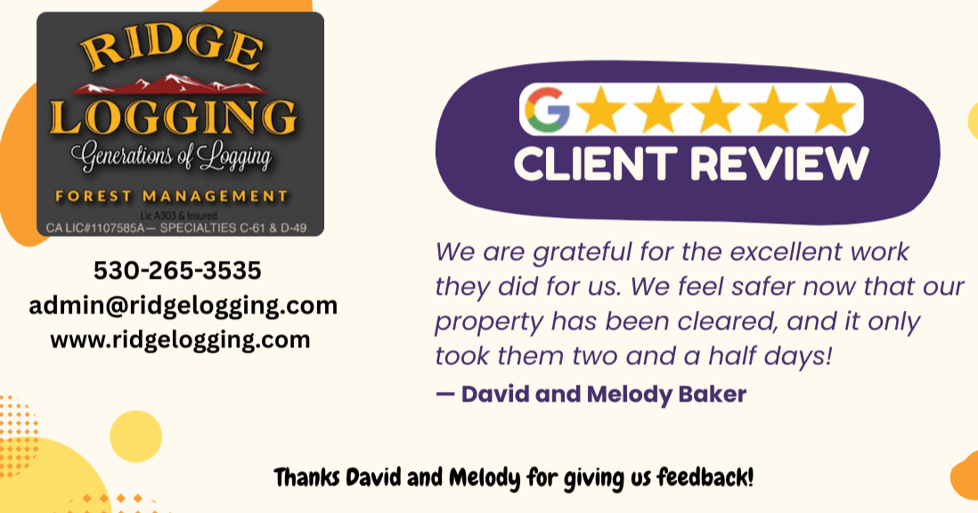 Client Review / Testimony