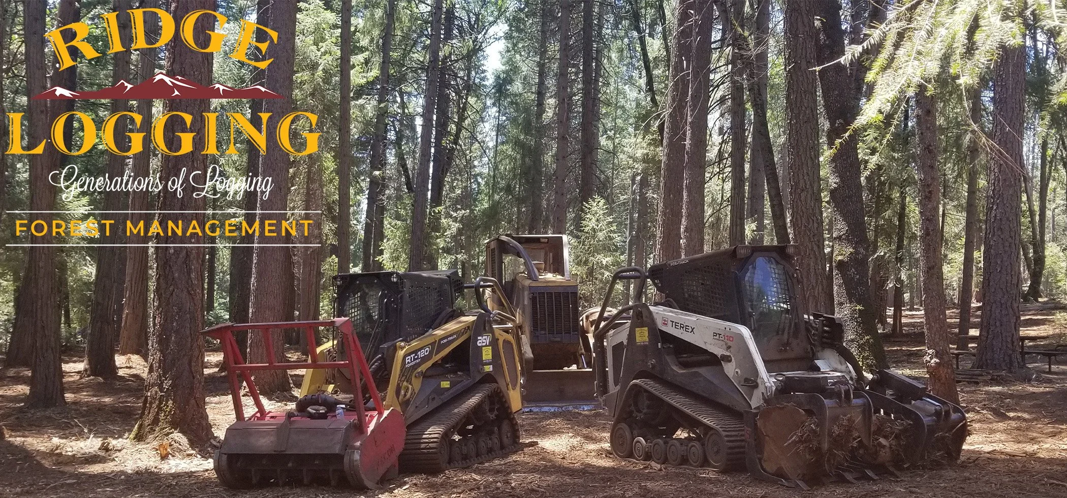 asv and terex with skidder.jpg