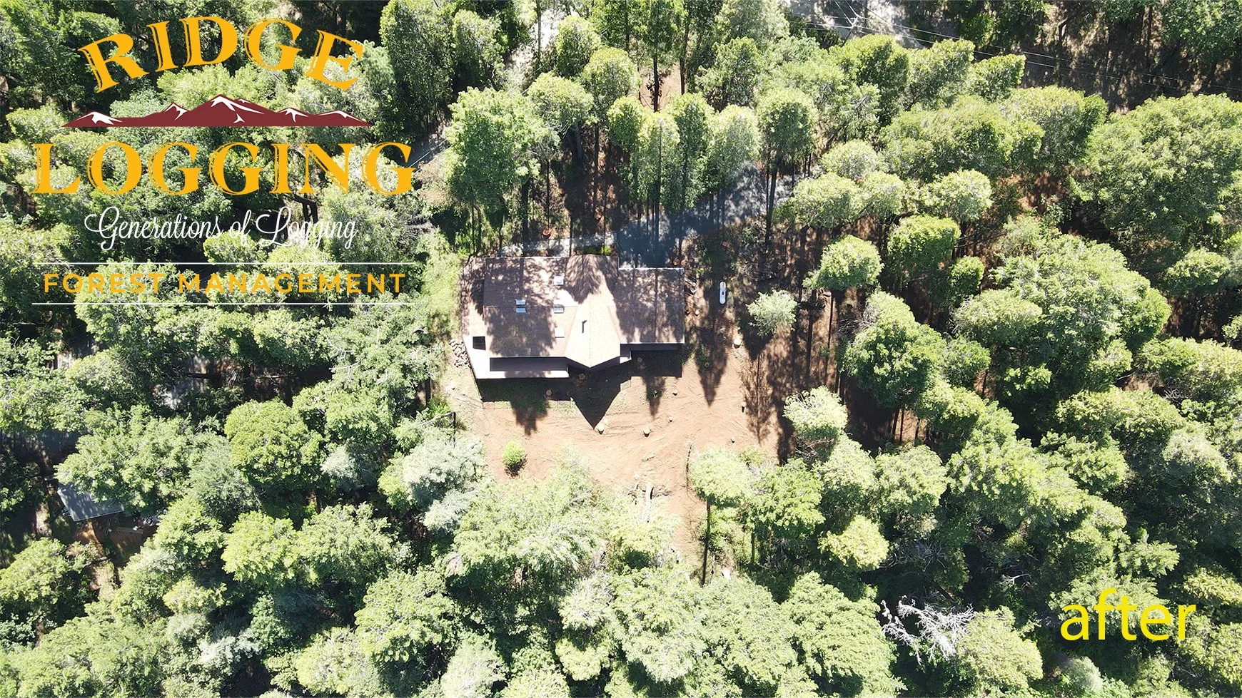 wings of morning after logging final.jpg