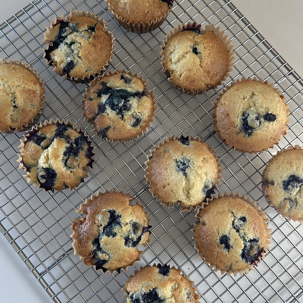 Sour Cream Blueberry Muffins — SNOBBISH