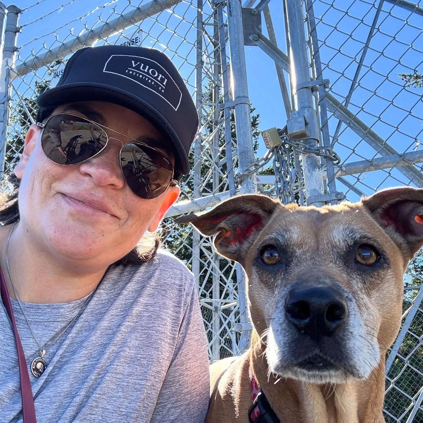 Gorgeous day for a hike with Nibbles. 🐾 I&rsquo;ve been reflecting on how it never used to be a priority to move my body every day&hellip;when I was a teenager I just did it without thought, everyday was a dance class or a rehearsal.  In my early 20