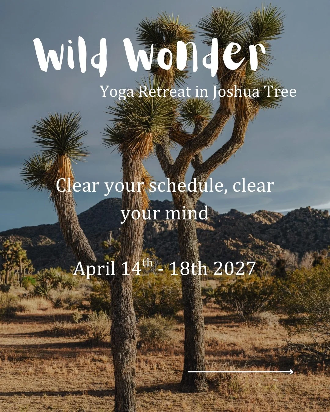 OFFICIALLY ANNOUNCING 📣 @dharmic_rose is joining us on retreat in Joshua Tree! Join us for 4 nights at @gaiavillajoshuatree for time to disconnect from your routine and fully embrace daily yoga, meditation, delicious meals, connections and explorati