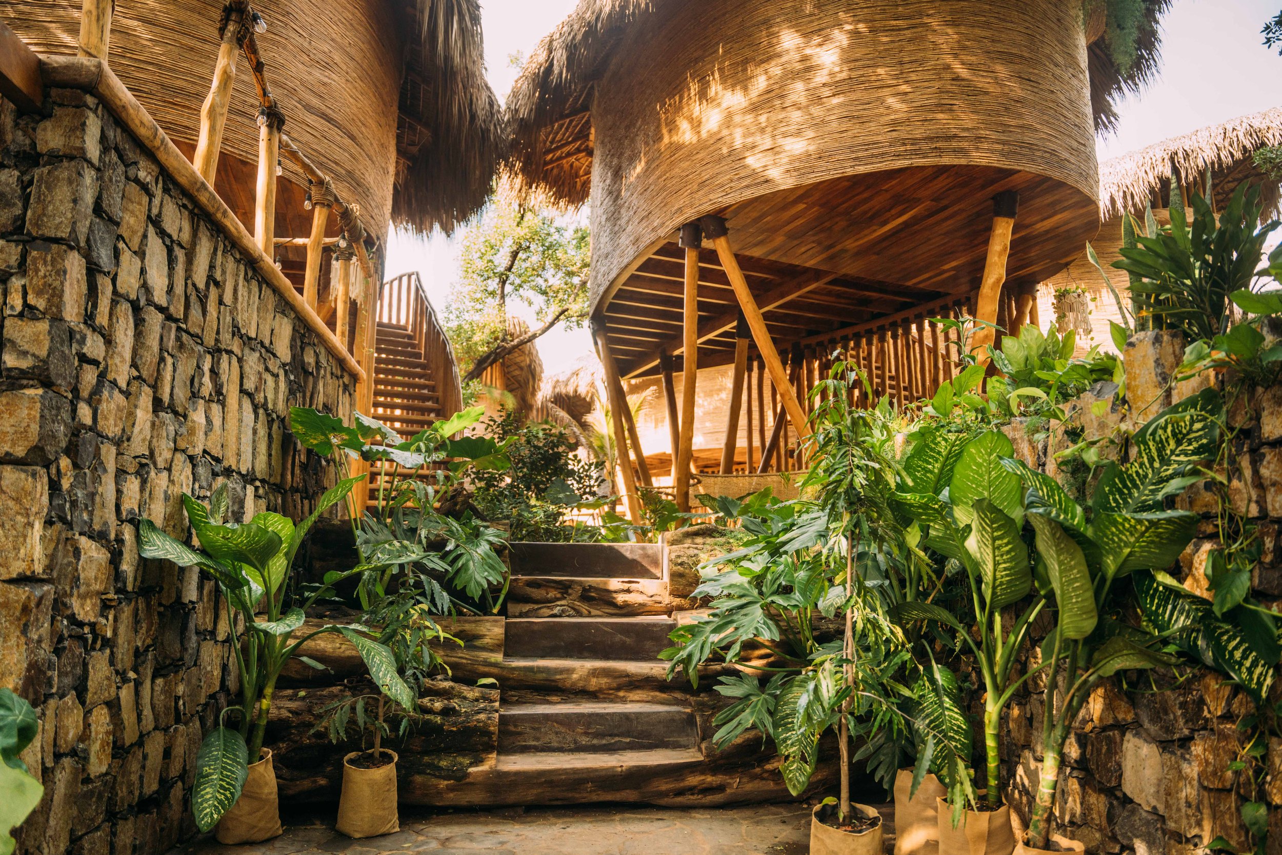 Copy of DSC01077-jungle-tree-house.jpg