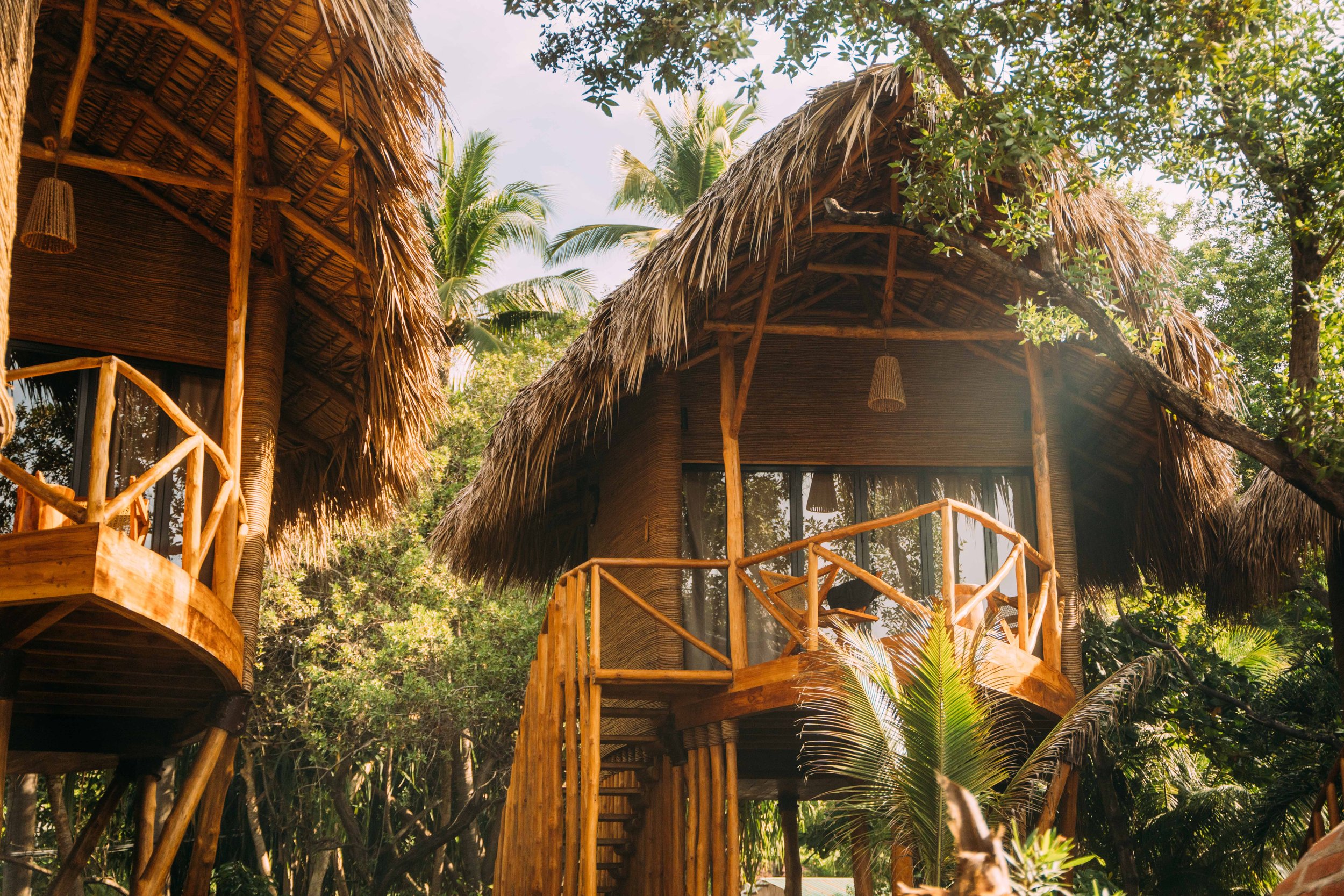Copy of DSC01017-jungle-tree-house.jpg