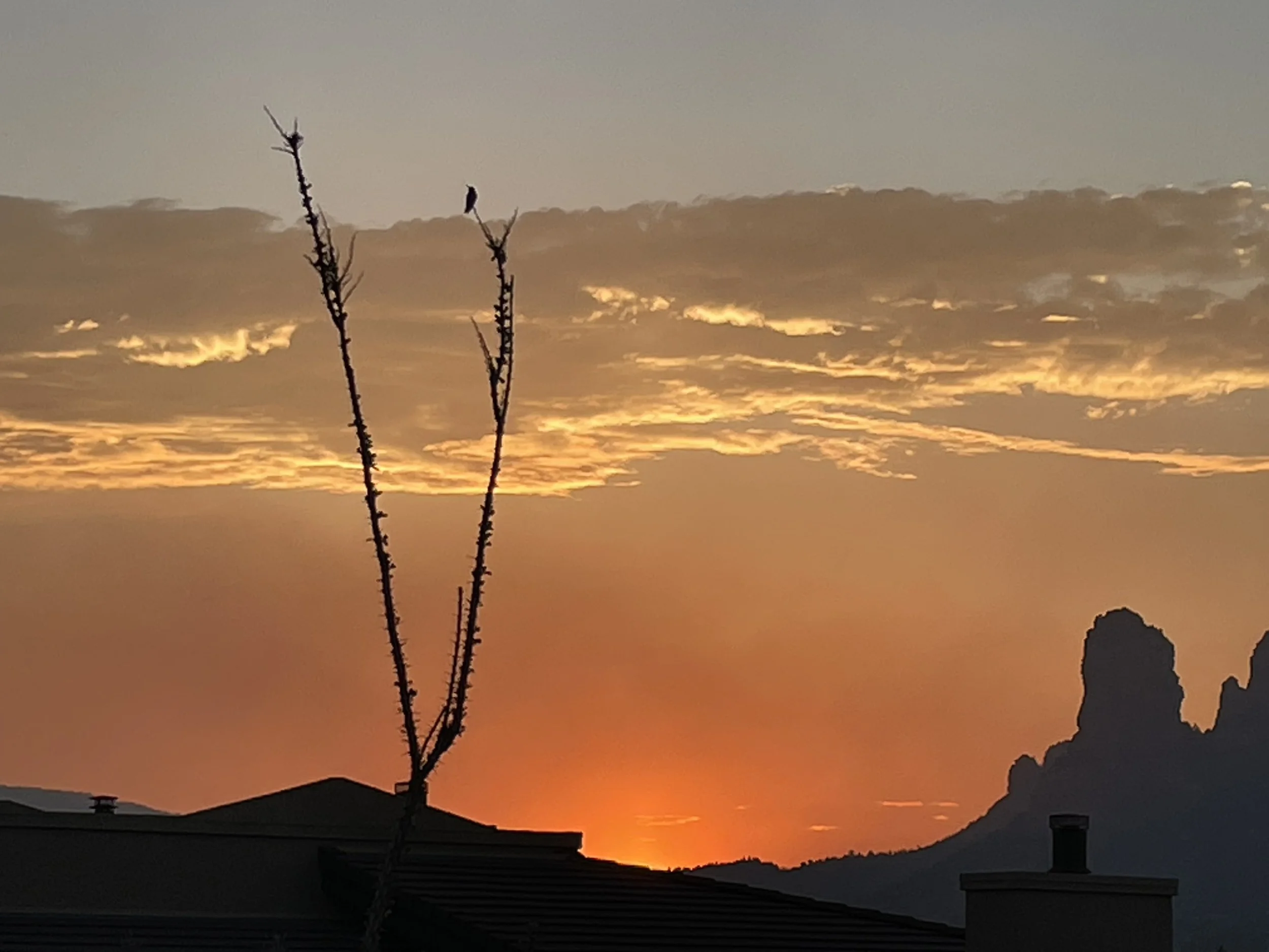 Mystical Moments in Sedona