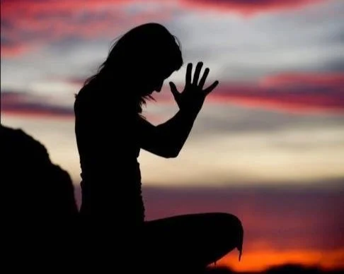 Awaken & Align: A 6-Month Yogic Immersion