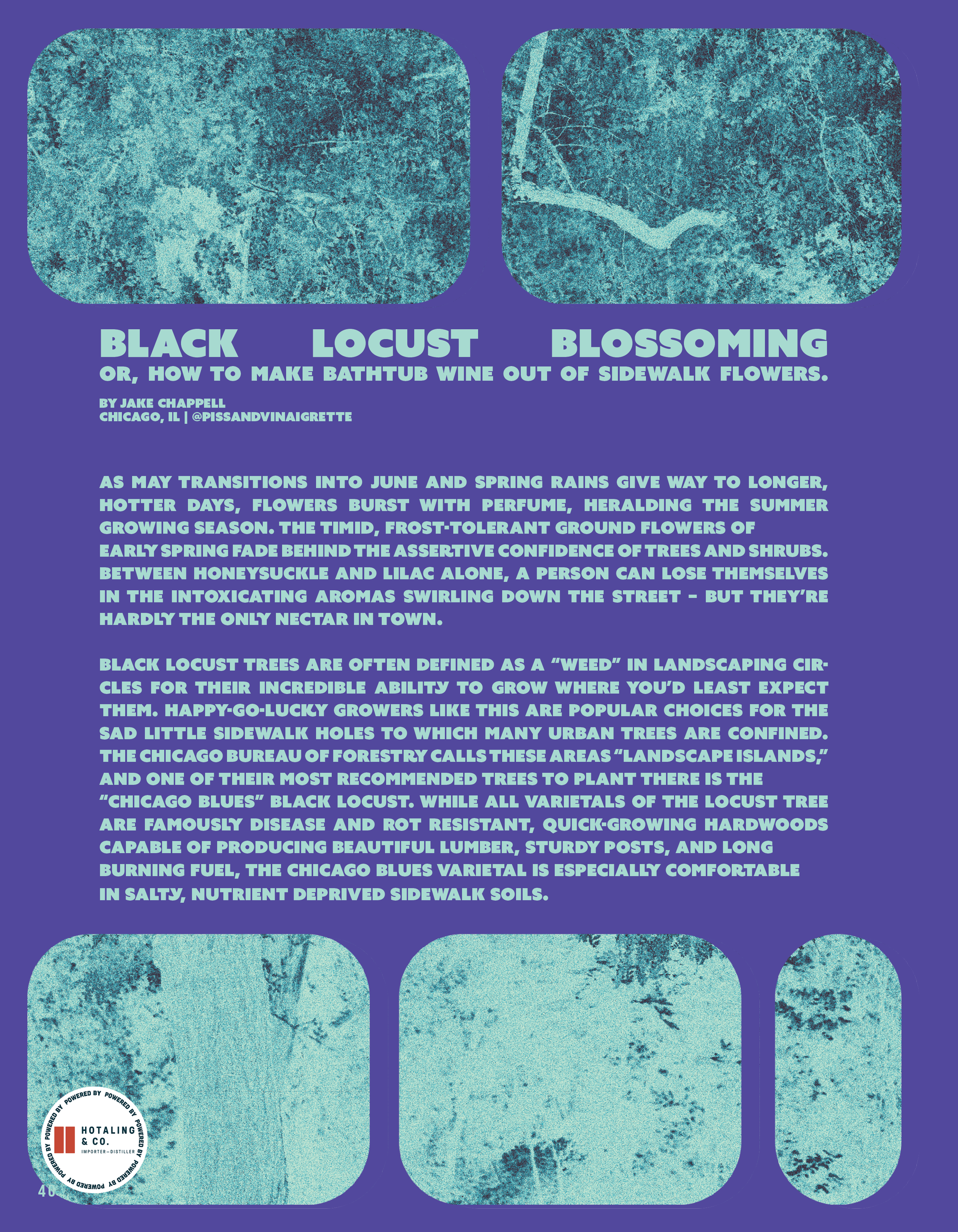 Guest Check Issue No VI40.png