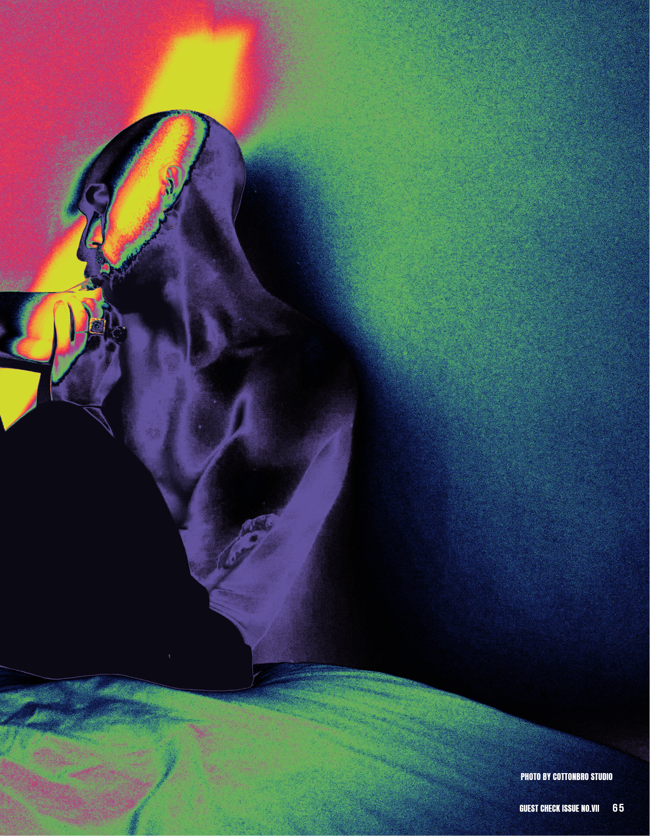 Guest Check Issue No VII65.png