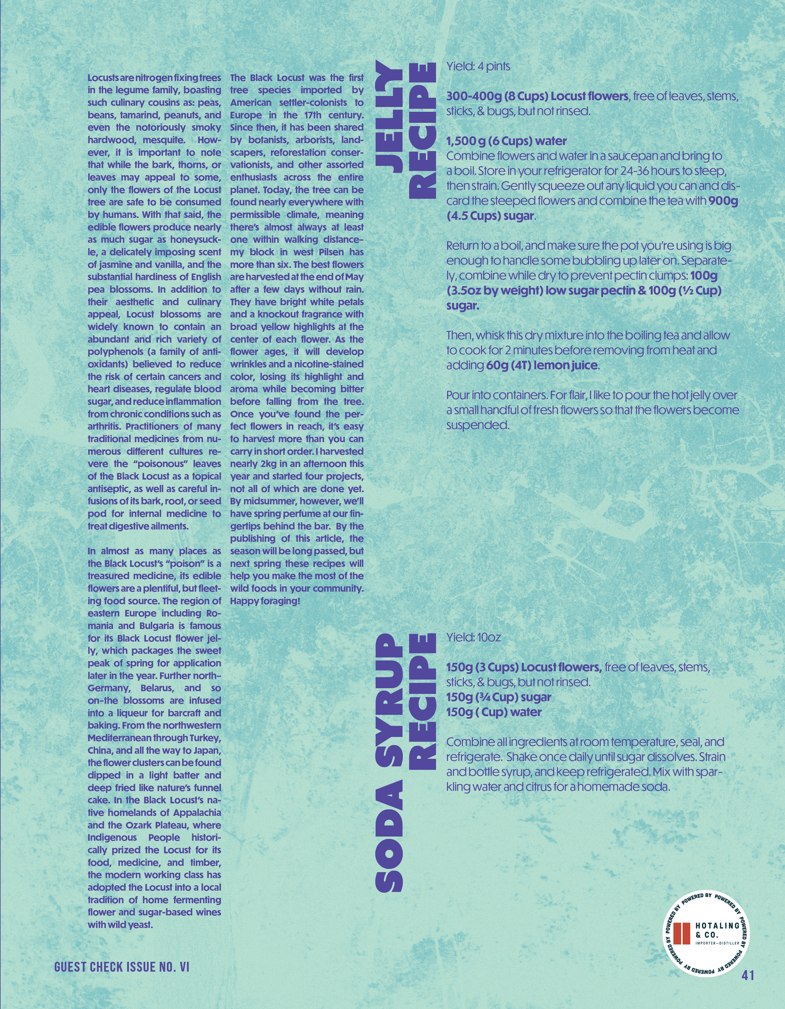 Guest Check Issue No VI41.png