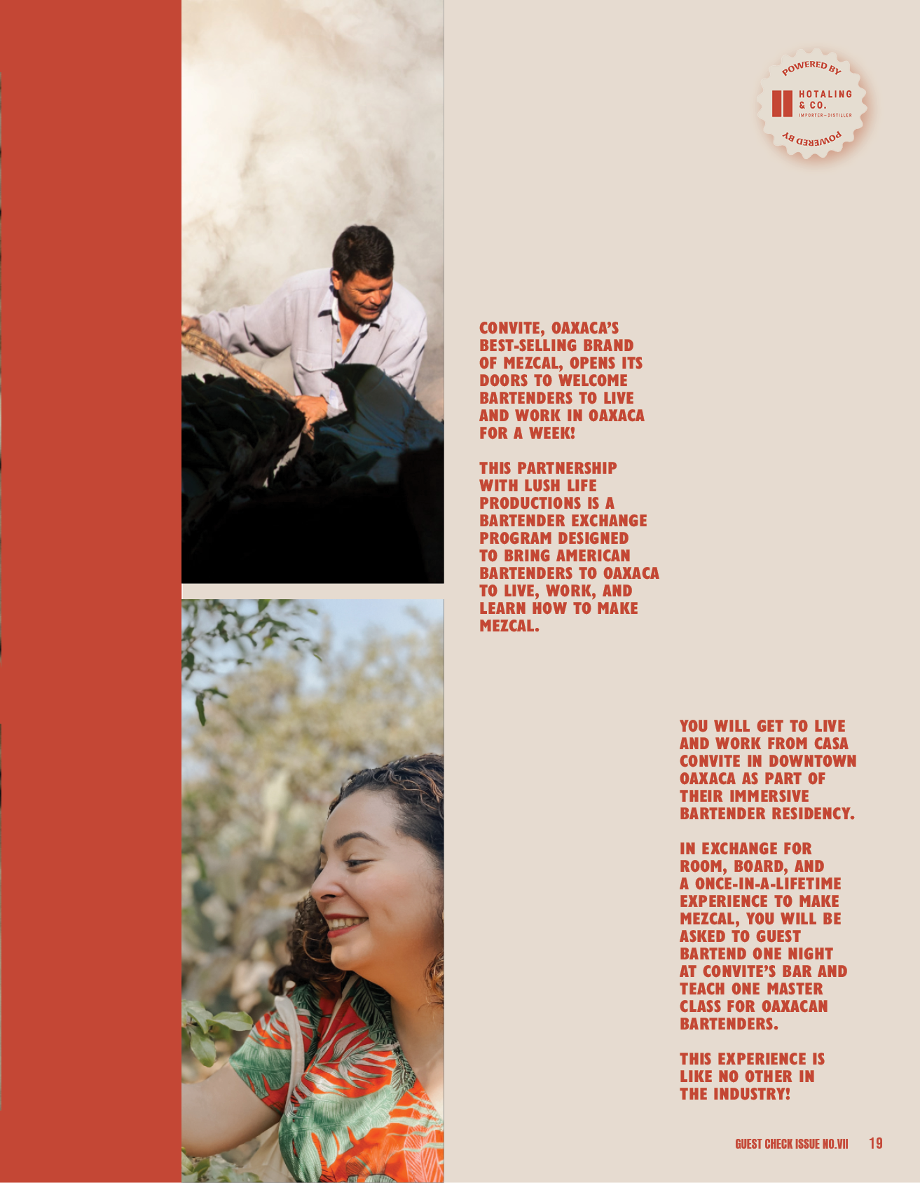 Guest Check Issue No VII19.png