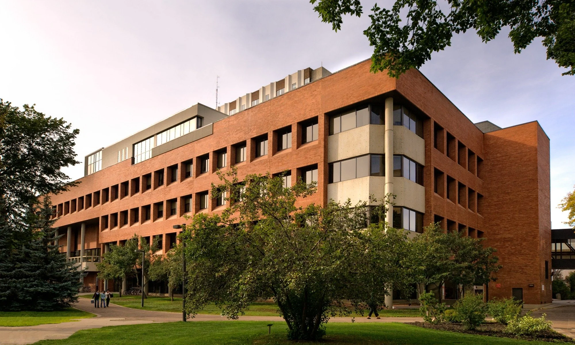 wordpressbanner.jpg