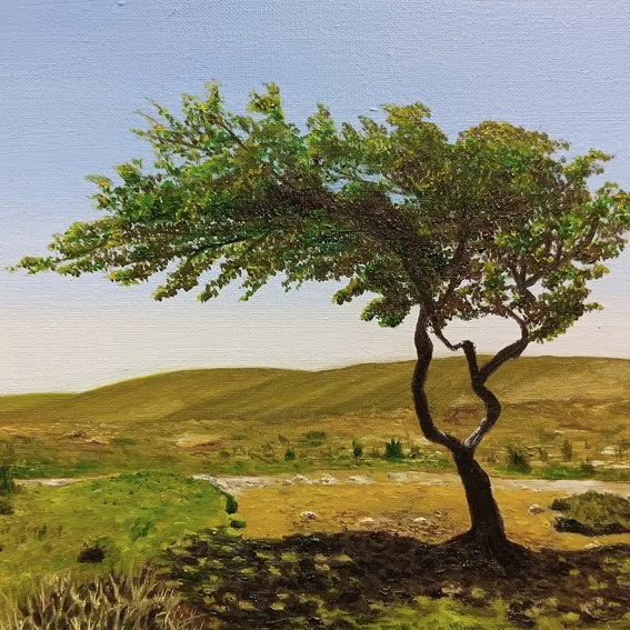 Mike Richardson