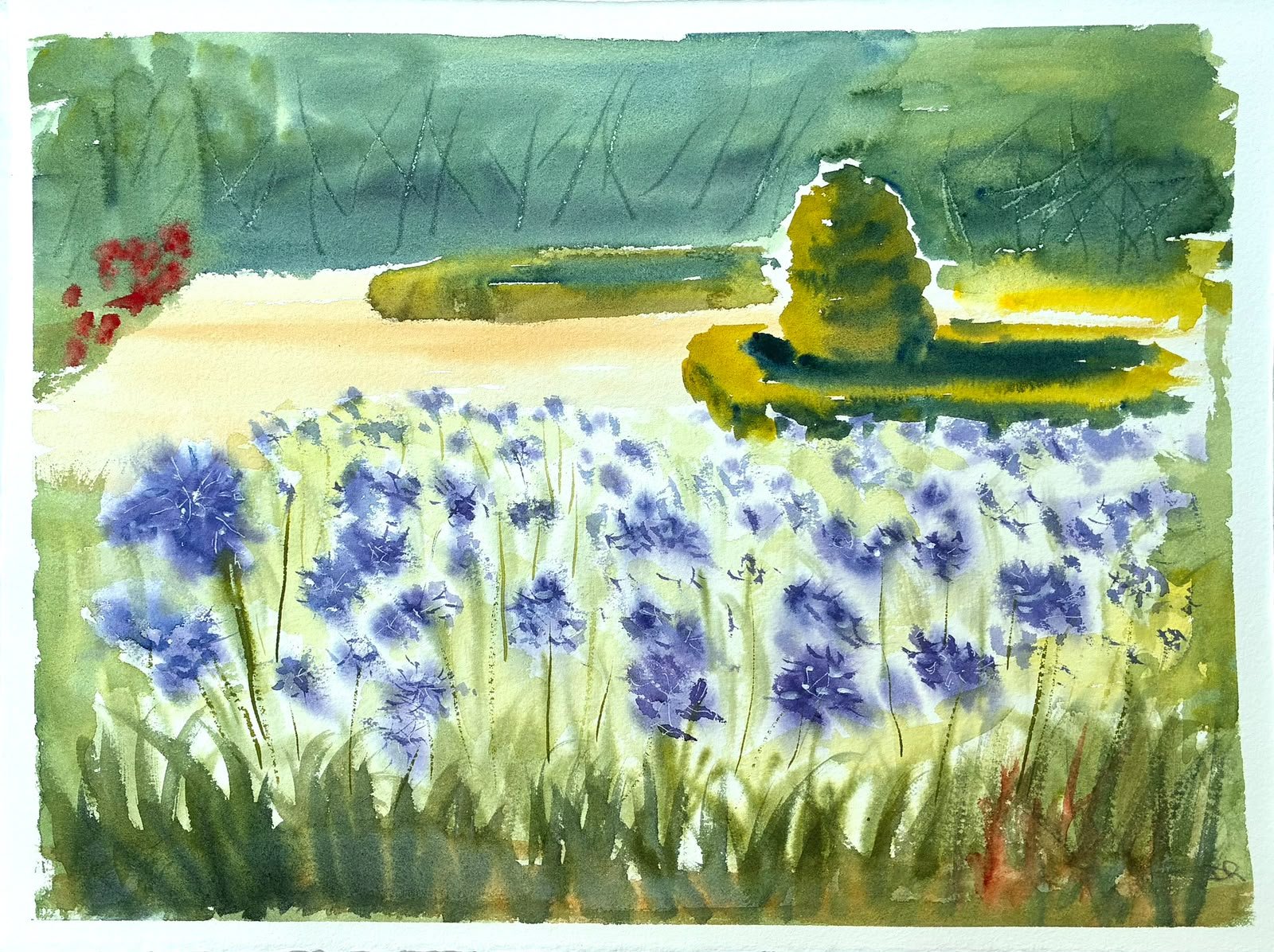 David Roberts
