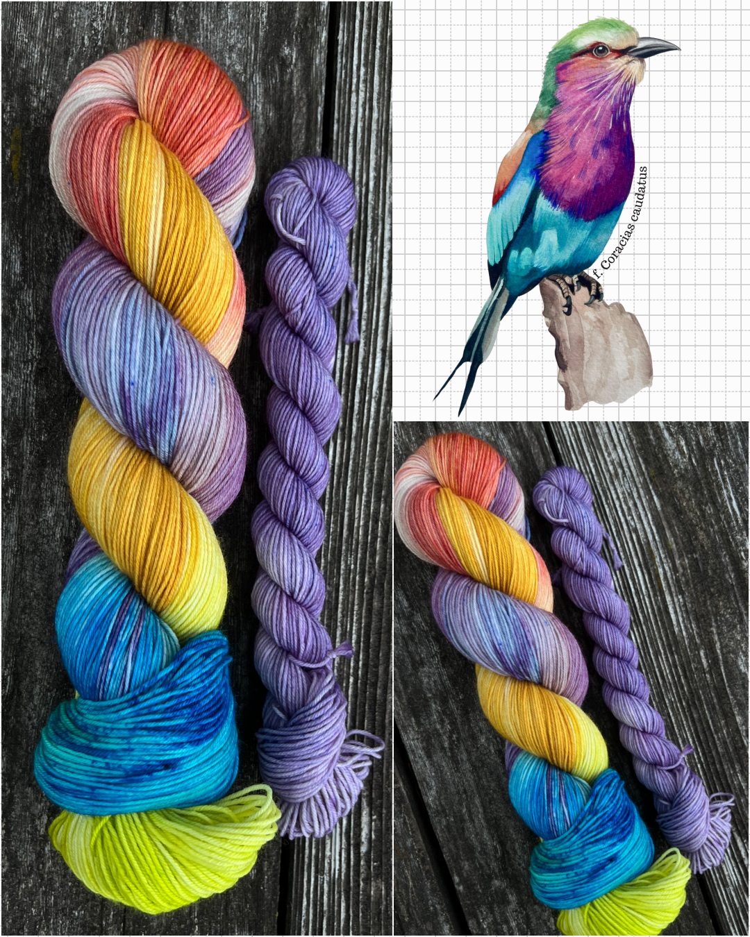 lilac breasted field notes yarn.png